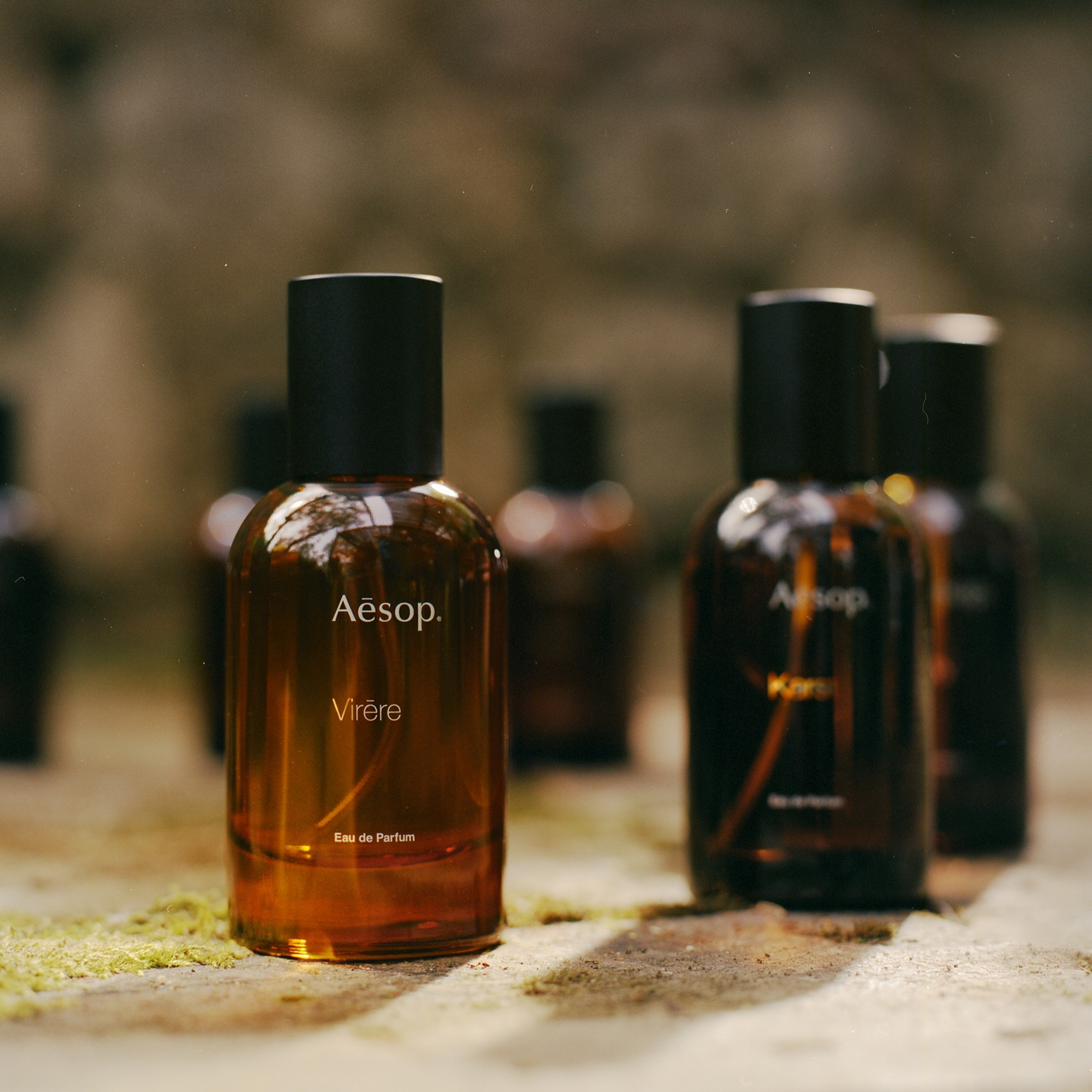 Aēsop Virère Eau de Parfum 50mL Virēre Eau de Parfum | Aesop