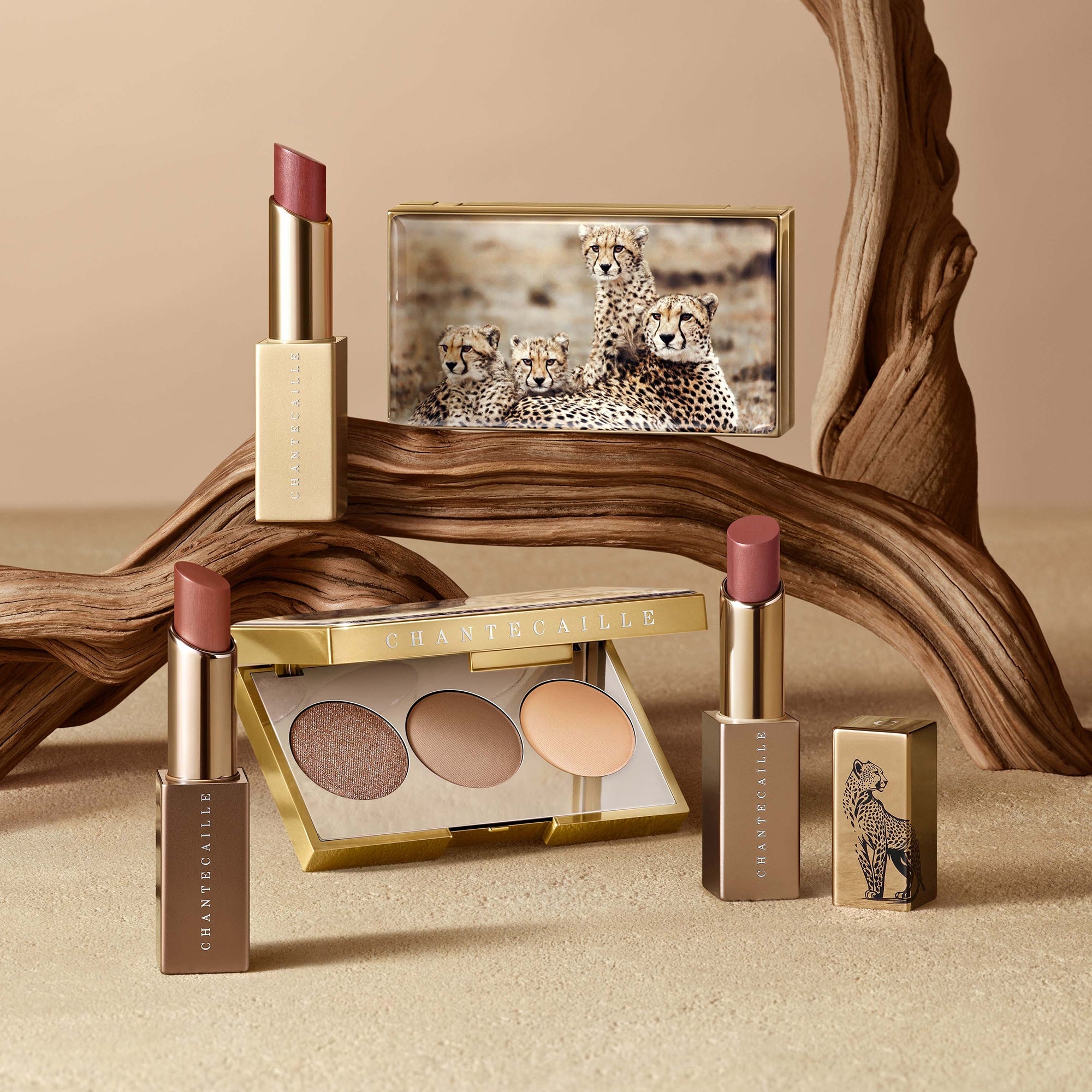 CHANTECAILLE 限定版 アイシャドウパレット等セット CHANTECAILLE FALL 2024 | Cheetah Collection - YouTube