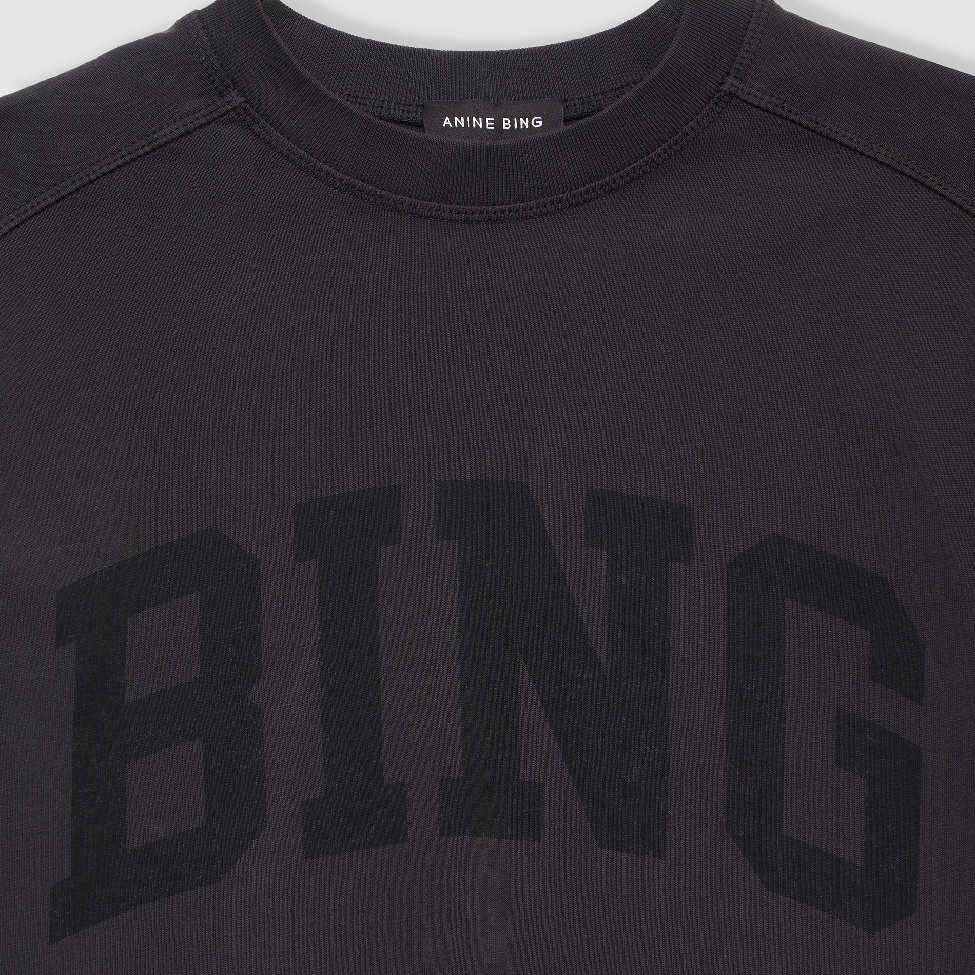 ANINE BING★ジョニー クロップド Tシャツ 15736647-8315200158870549.jpg