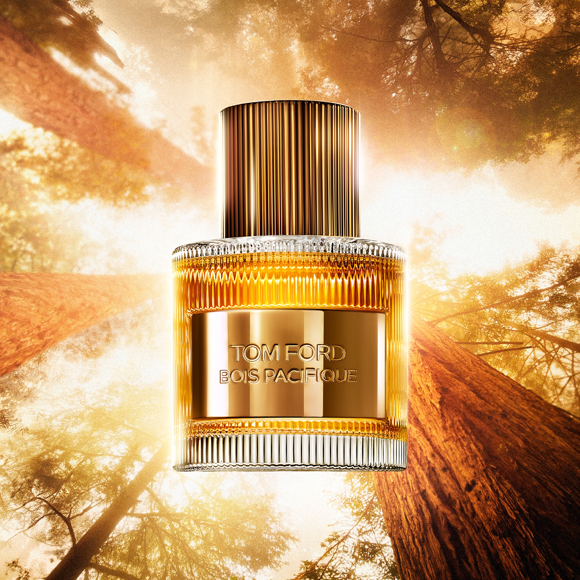 good ページTOM FORD COSTA AZZURRA 50ML Tom Ford Costa Azzurra Eau de Parfum woda perfumowana 50 ml