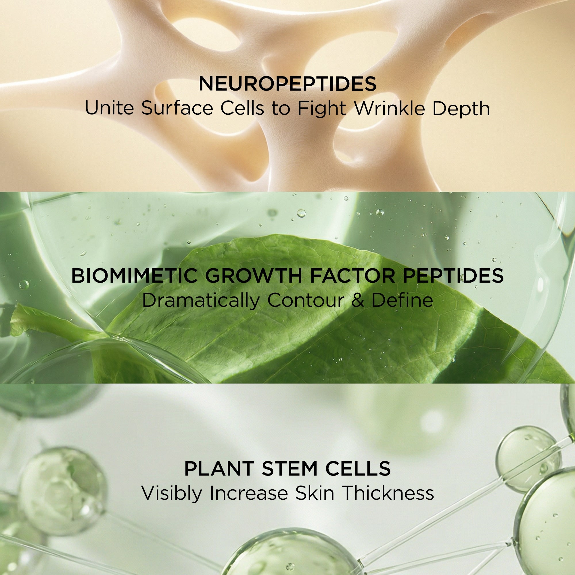 Neuropeptide Deep Crease Serum | Perricone MD