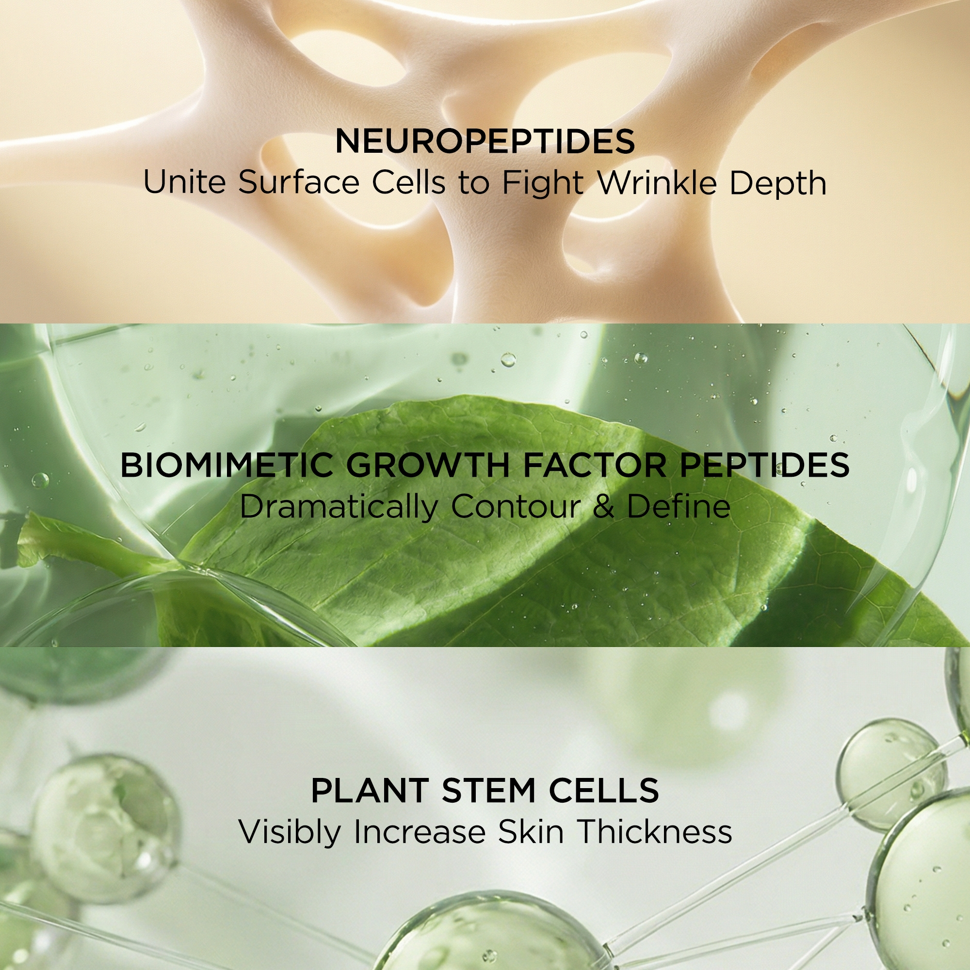 Neuropeptide Pro-Strength Firming Moisturizer | Perricone MD