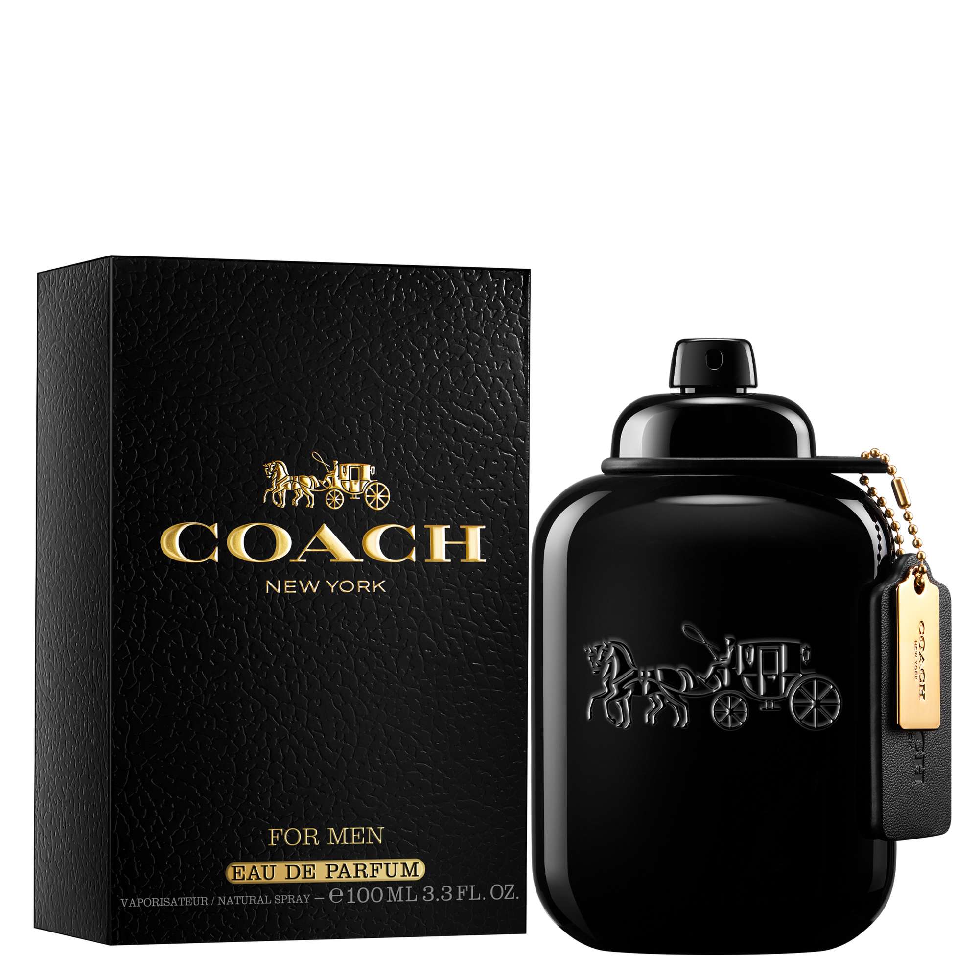 Coach For Men Blue Eau de Toilette 100ml | Fragrance Direct