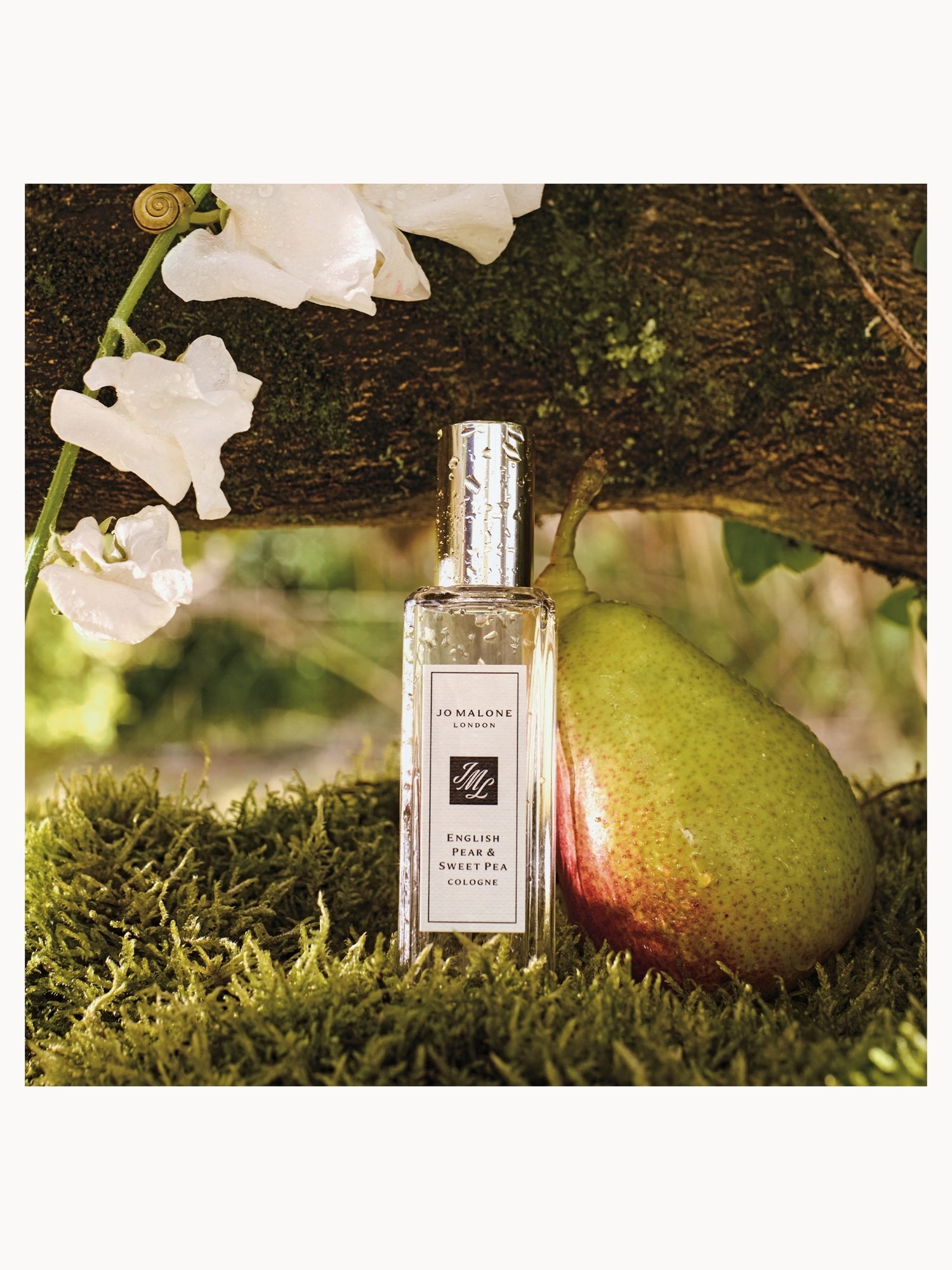 Jo Malone London English Pear & Sweet Pea Cologne 50ml | LOOKFANTASTIC