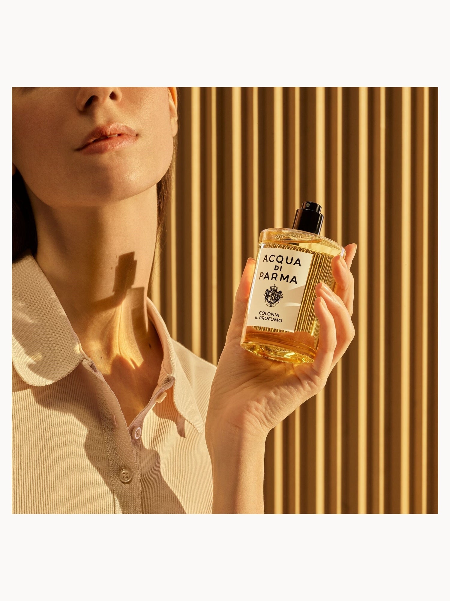 Acqua di Parma Colonia Il Profumo 100ml | LOOKFANTASTIC