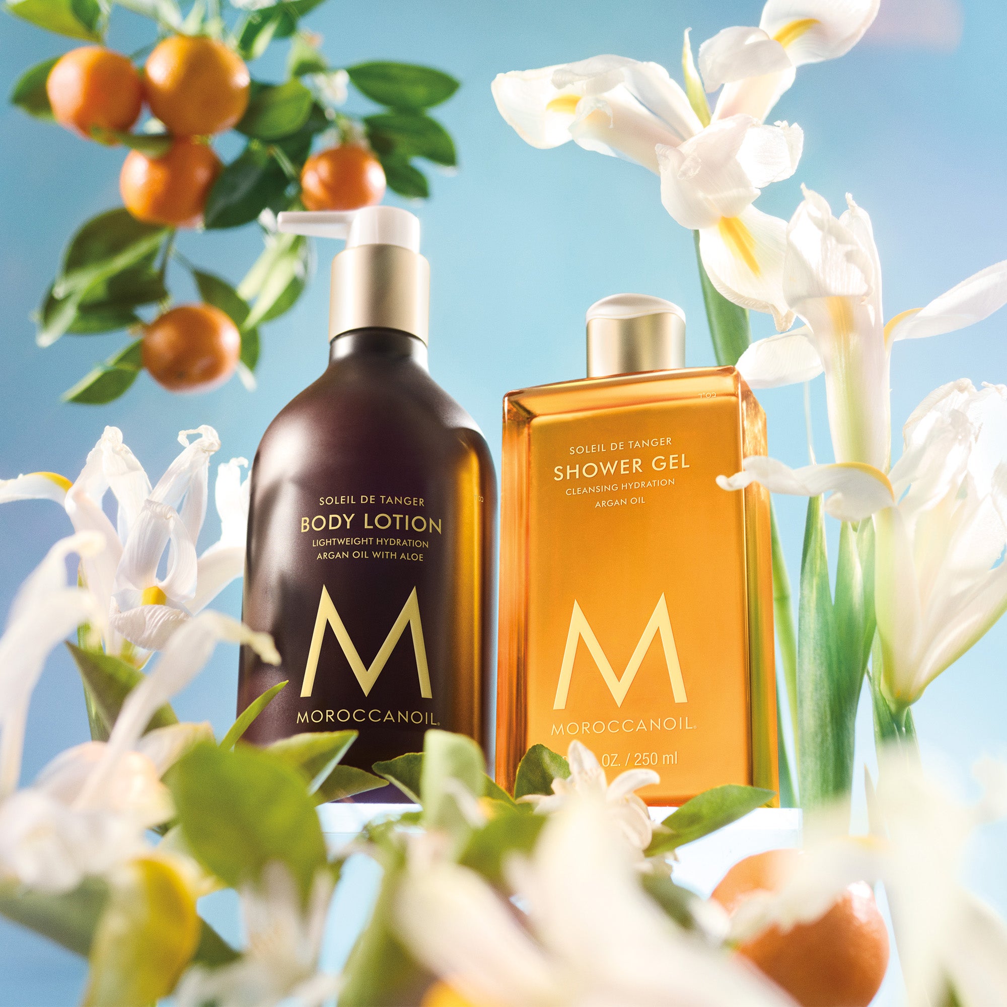 Moroccanoil Shower Gel, Soleil De Tanger 8.5 Fl. Oz. | Dermstore