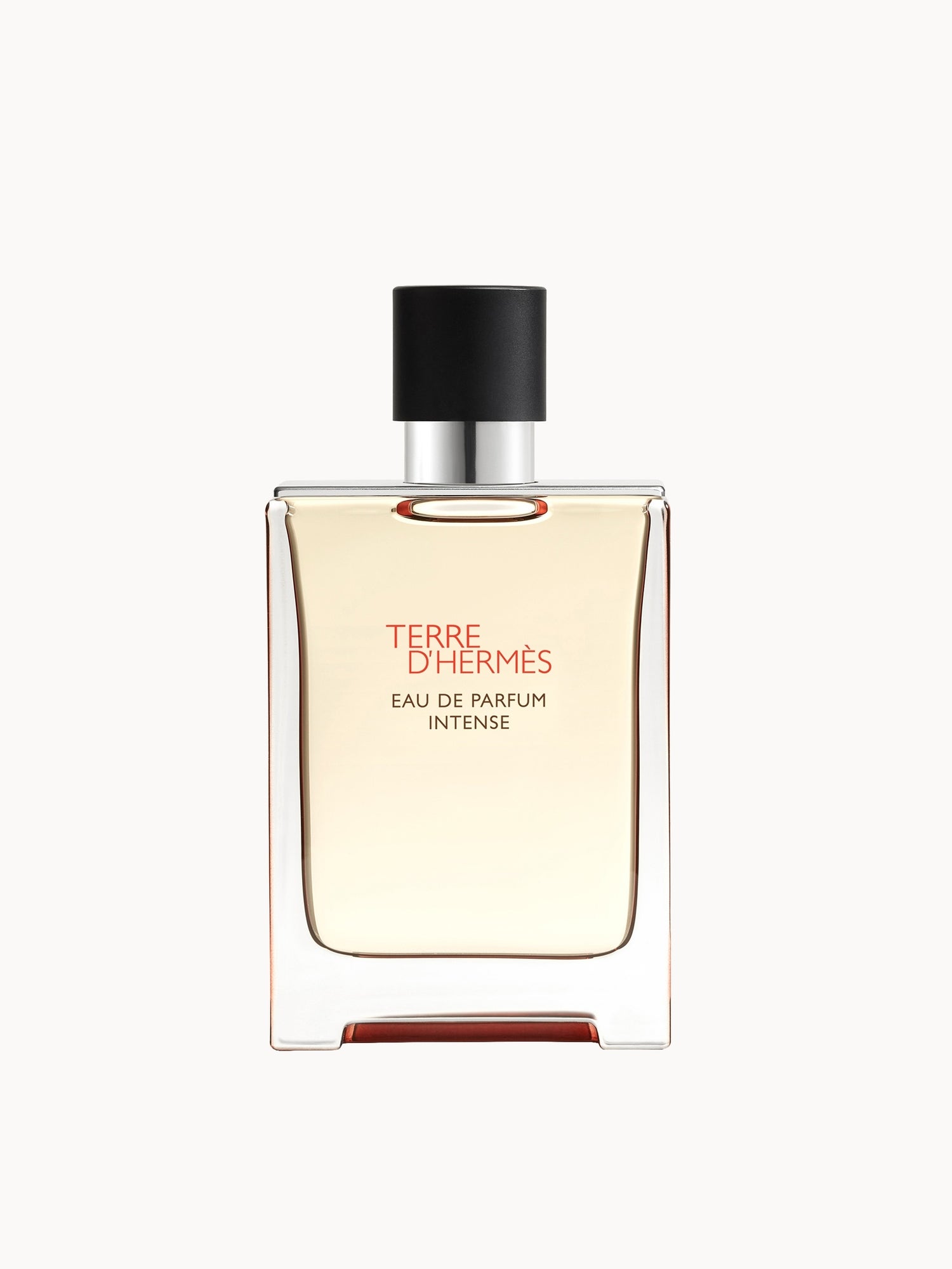 Hermès Terre d'Hermès Eau de Parfum Intense 100ml | LOOKFANTASTIC