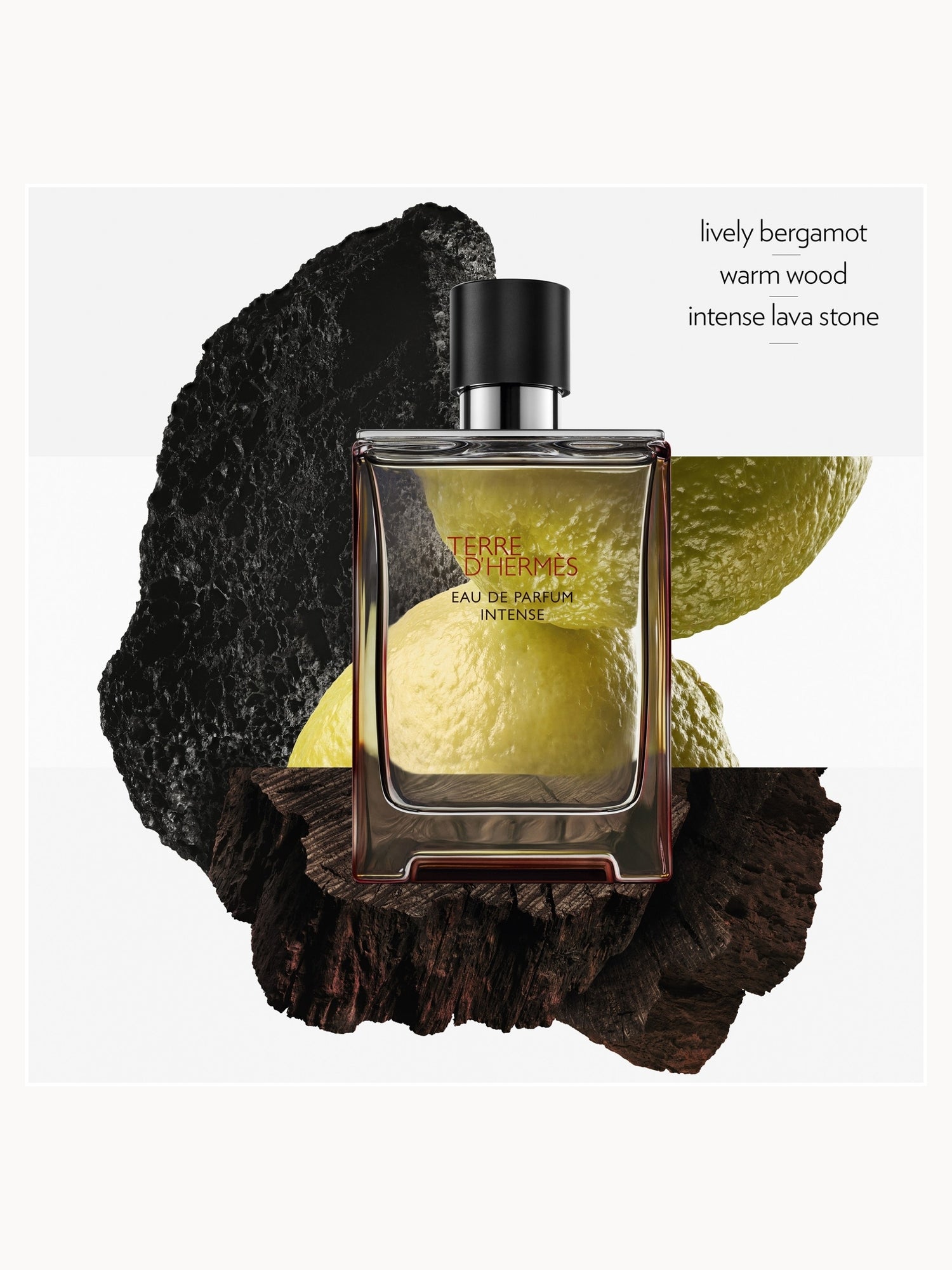 Hermès Terre d'Hermès Eau de Parfum Intense 100ml | LOOKFANTASTIC
