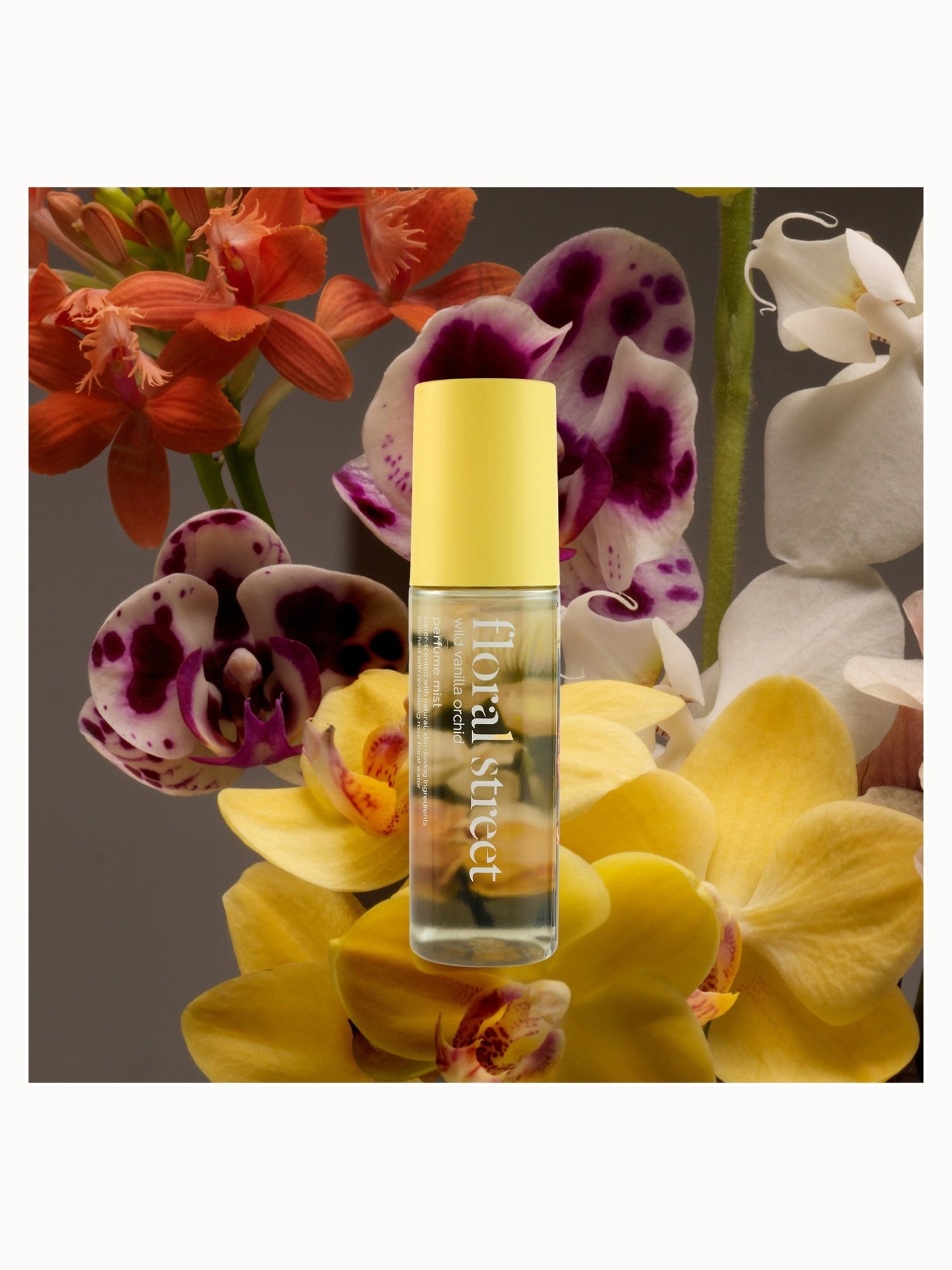 Wild Vanilla Orchid Perfume Mist
