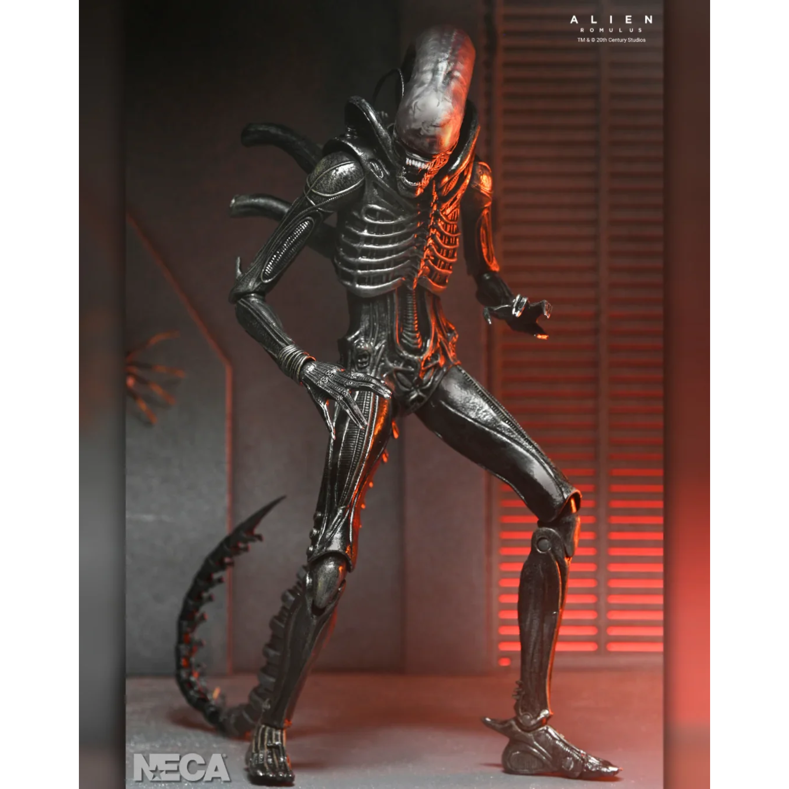 NECA - ALIEN: ROMULUS XENOMORPH XX121 ULTIMATE 7 INCH SCALE ACTION