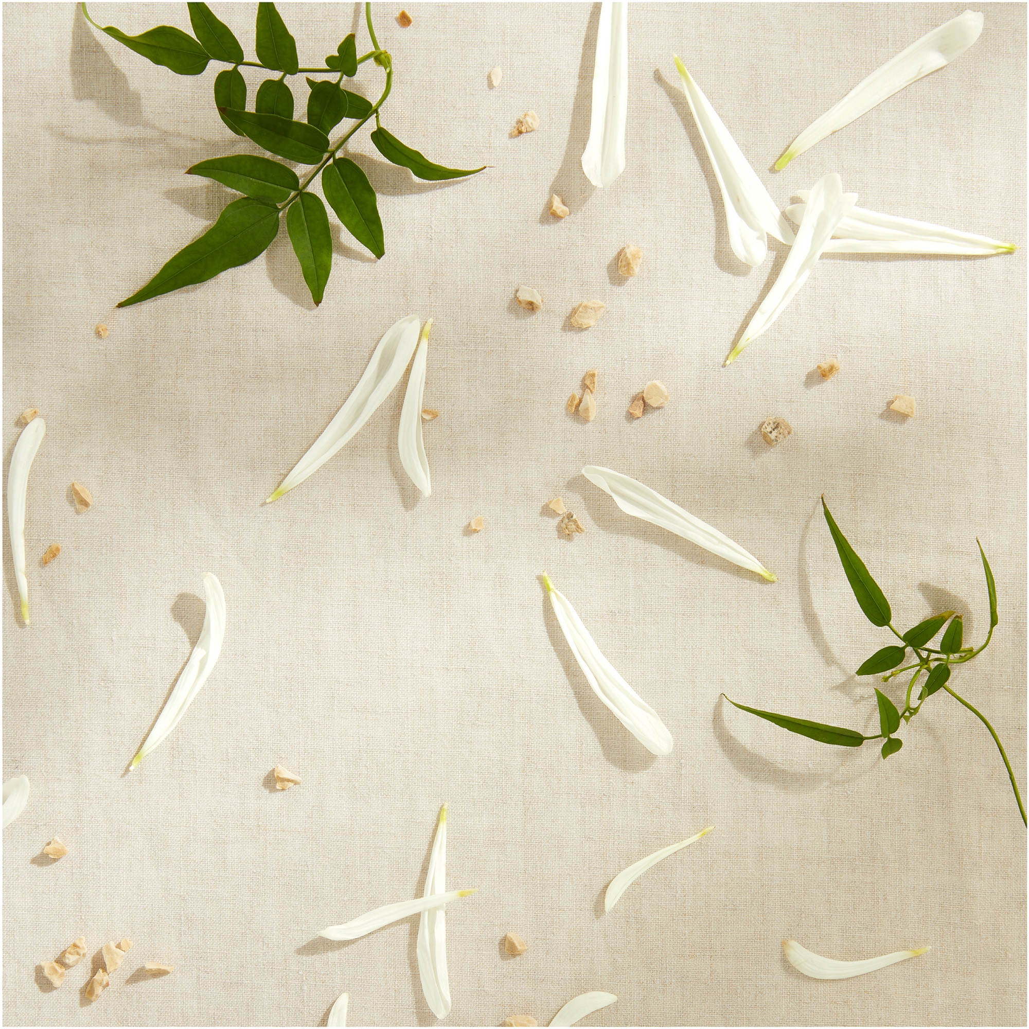 Jo Malone London Green Tomato Vine Townhouse Diffuser 350ml Outlet