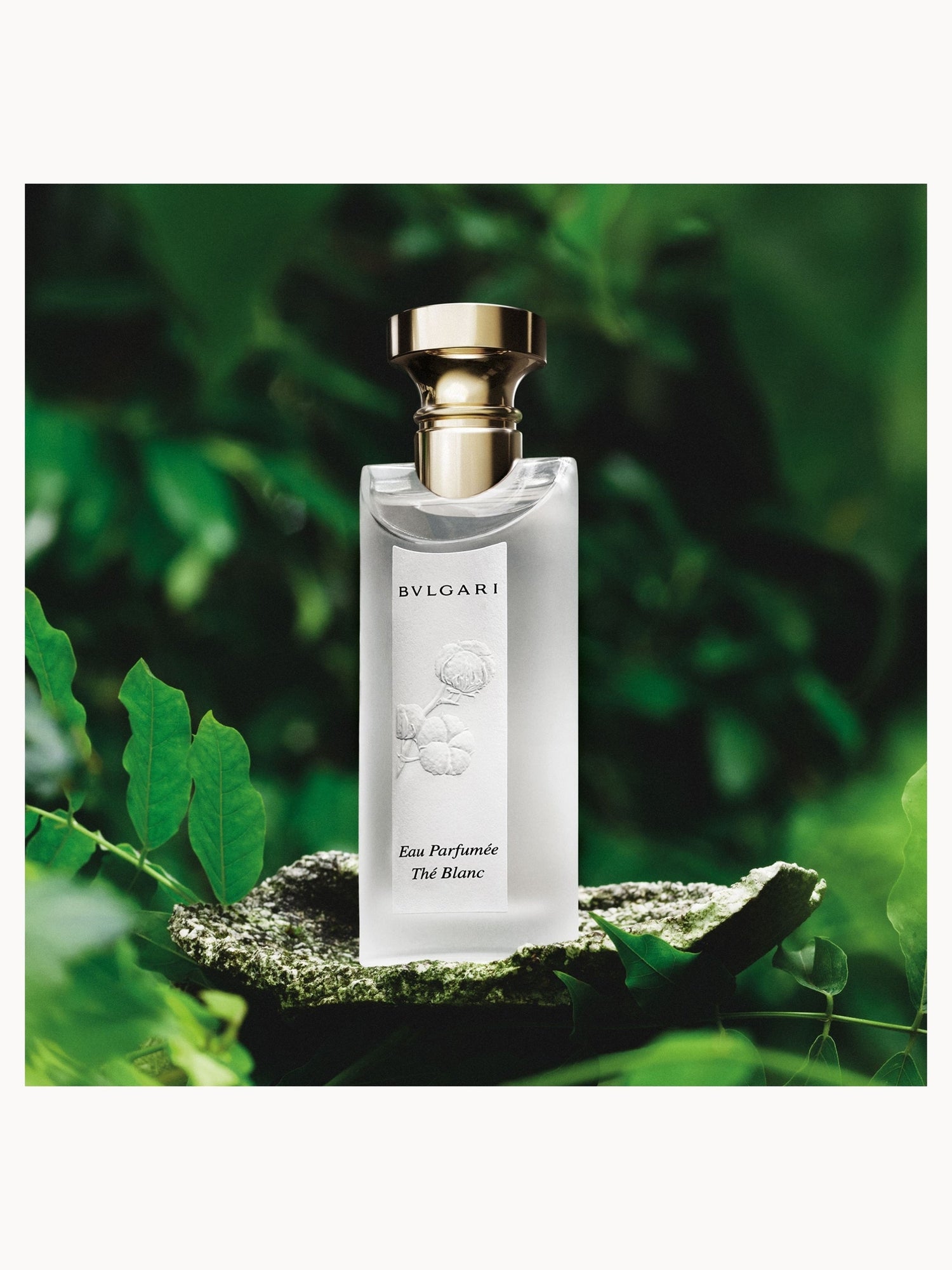 BVLGARI Eau Parfumée Thé Blanc 75mL BVLGARI Eau Parfumée Thé Blanc