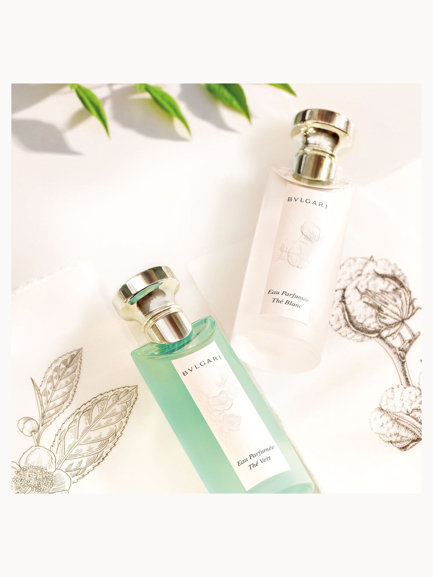 BVLGARI Eau Parfumée Thé Blanc Eau de Toilette 75ml | LOOKFANTASTIC