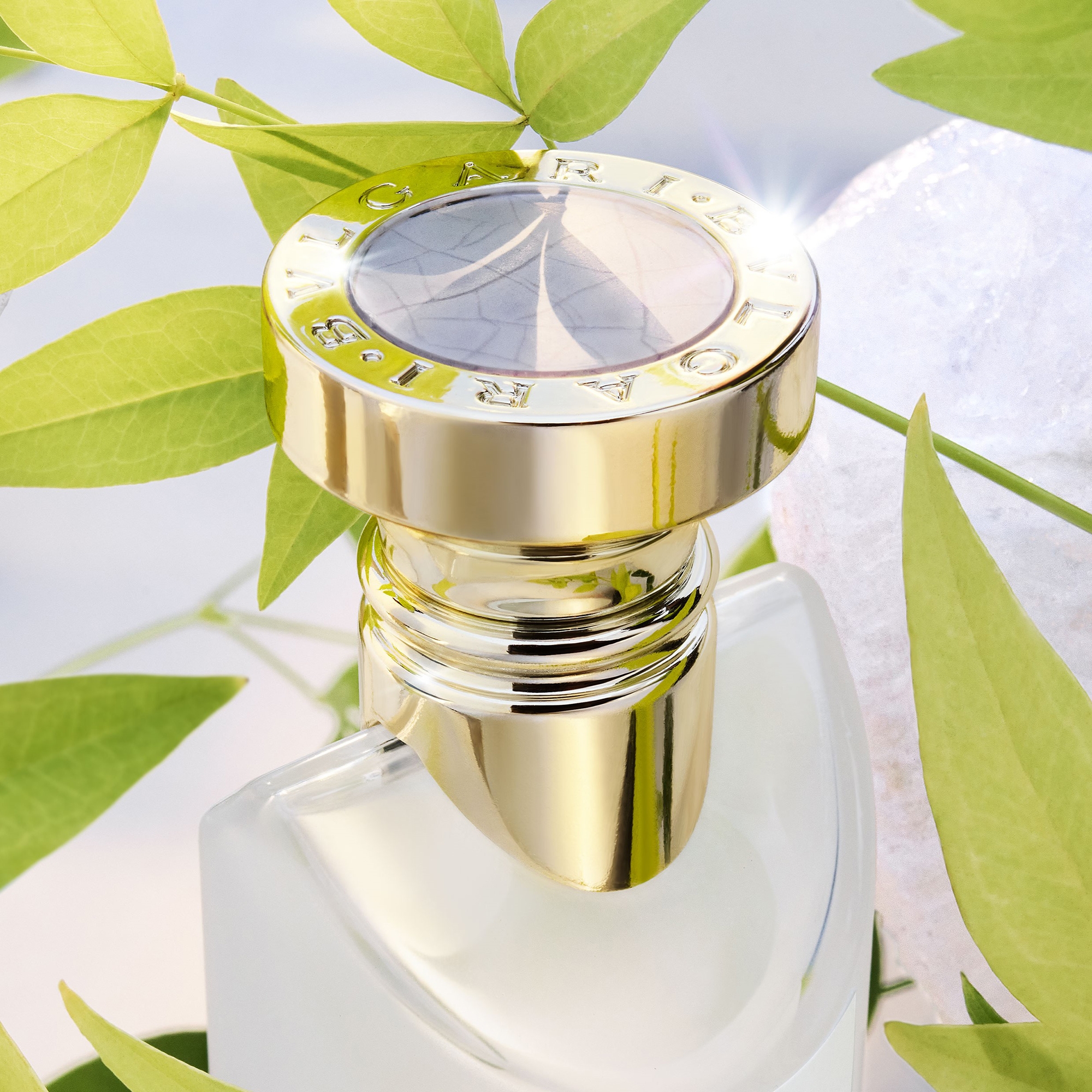 BVLGARI Eau Parfumée au thé blanc 50ml BVLGARI Eau Parfumée Au Thé Blanc Eau de Cologne, 2.5-oz