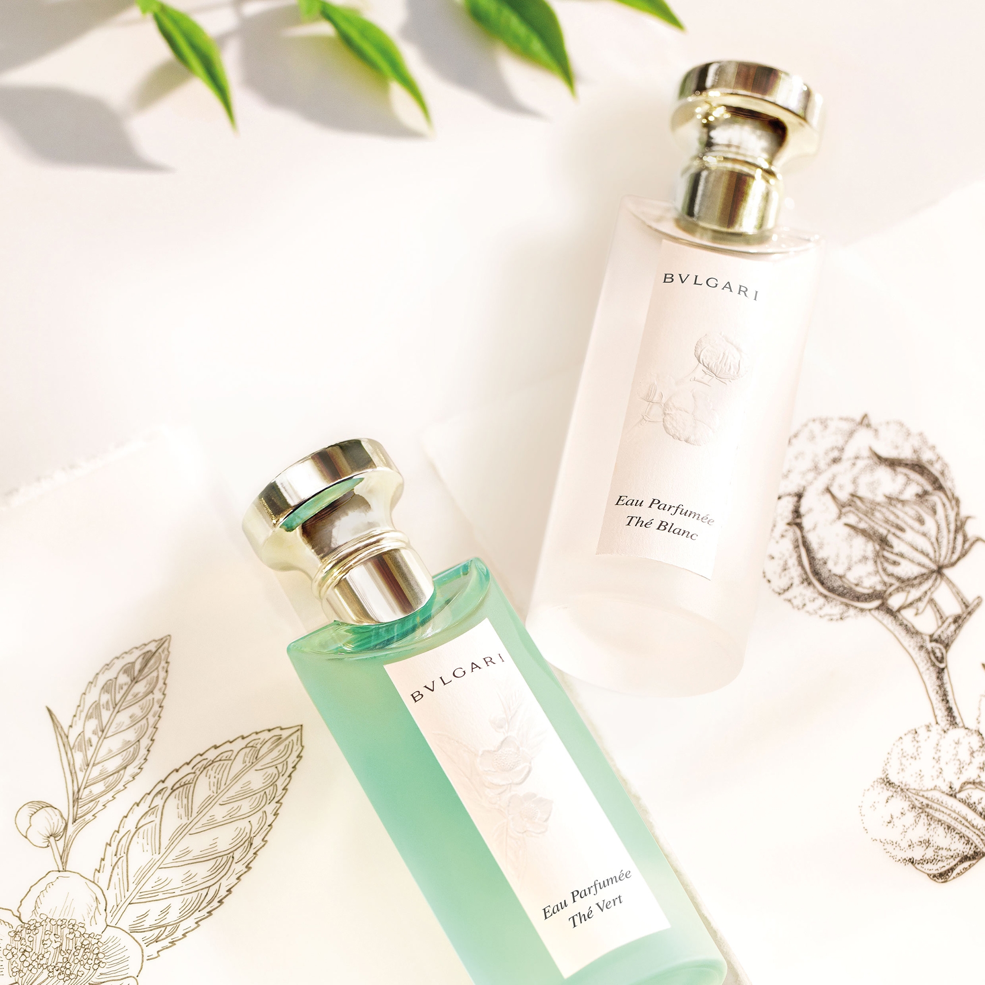 BVLGARI Eau Parfumée Thé Vert Eau de Toilette 75ml | LOOKFANTASTIC