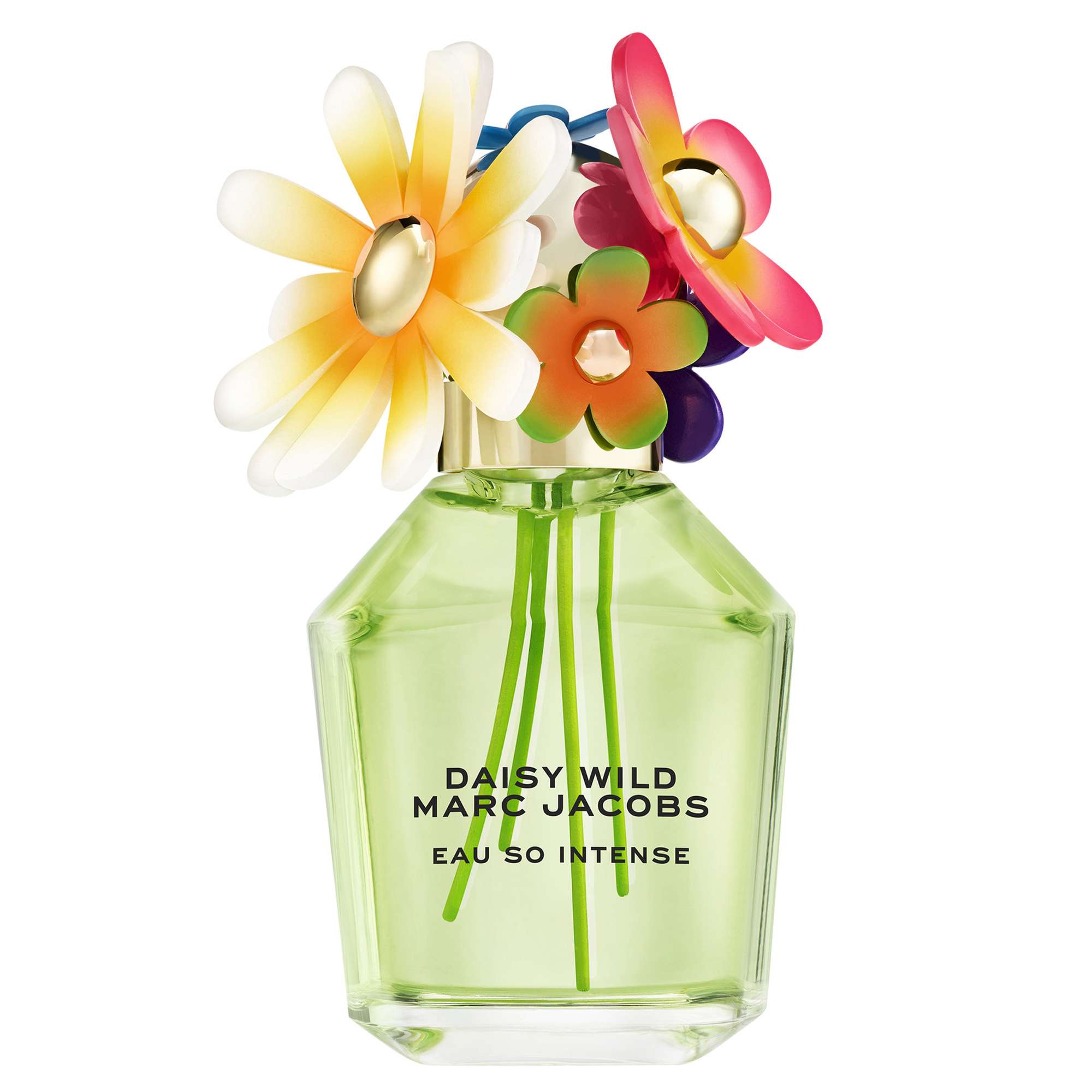 Marc Jacobs: Marc Jacobs Daisy Wild Eau So Intense Eau de Parfum Spray 100ml