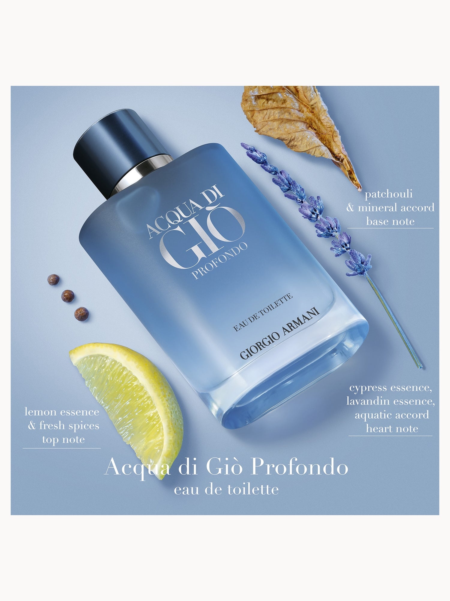 Armani Acqua Di Gio Profondo Eau de Toilette 50ml | LOOKFANTASTIC