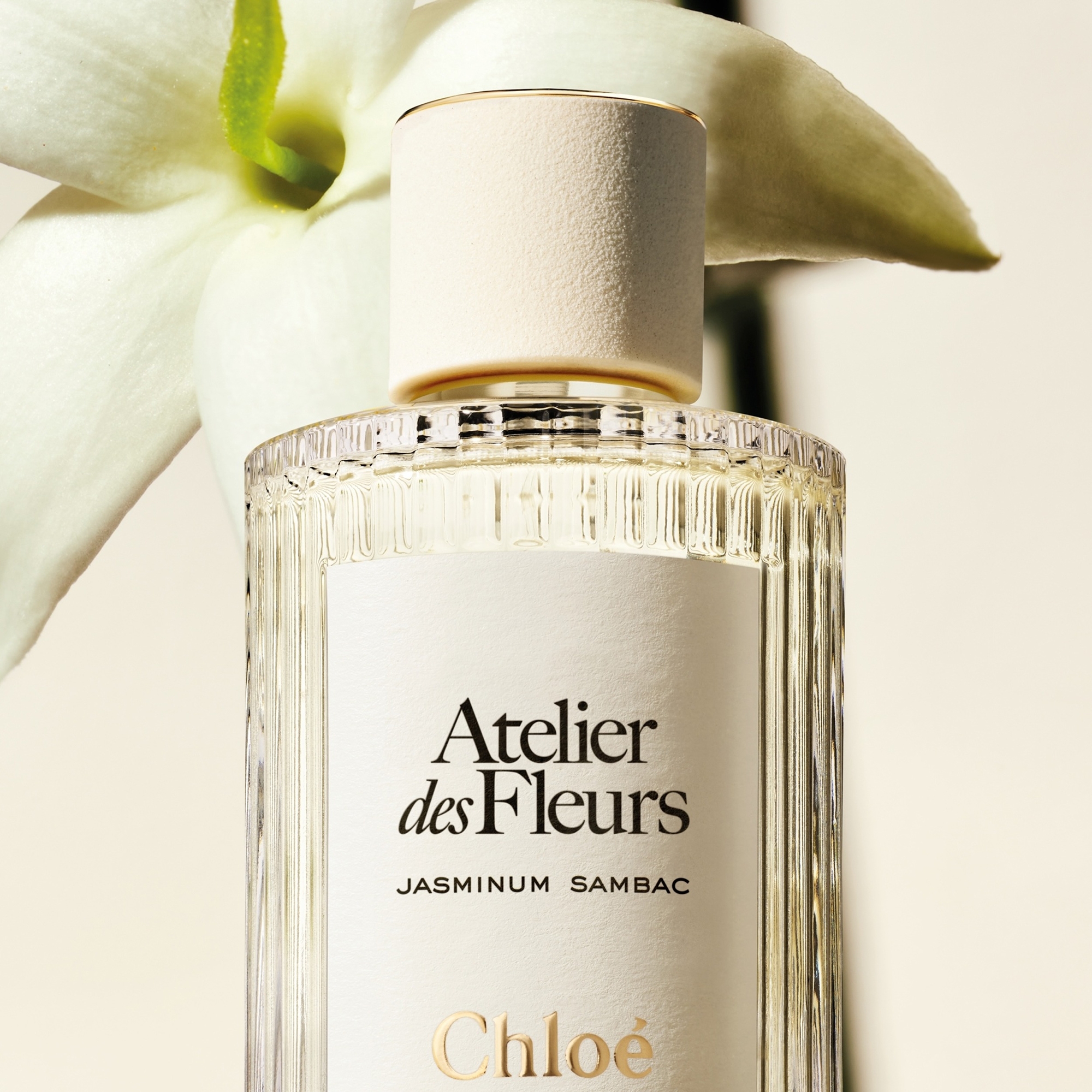 Chloé Atelier des Fleurs Jasminum Sambac Eau de Parfum 50ml | Cult