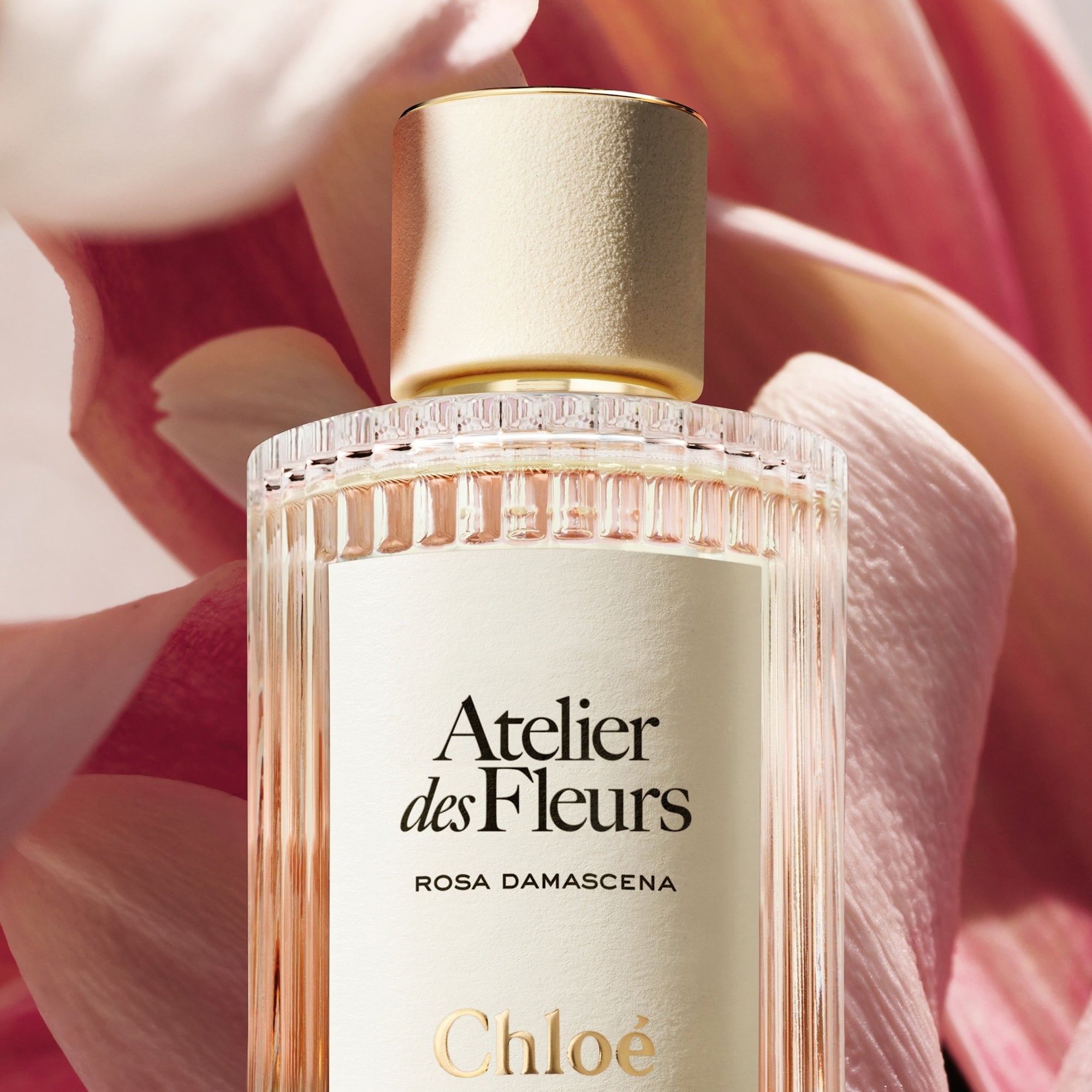 Chloé Atelier des Fleurs Rosa Damascena Eau de Parfum 150ml | Cult