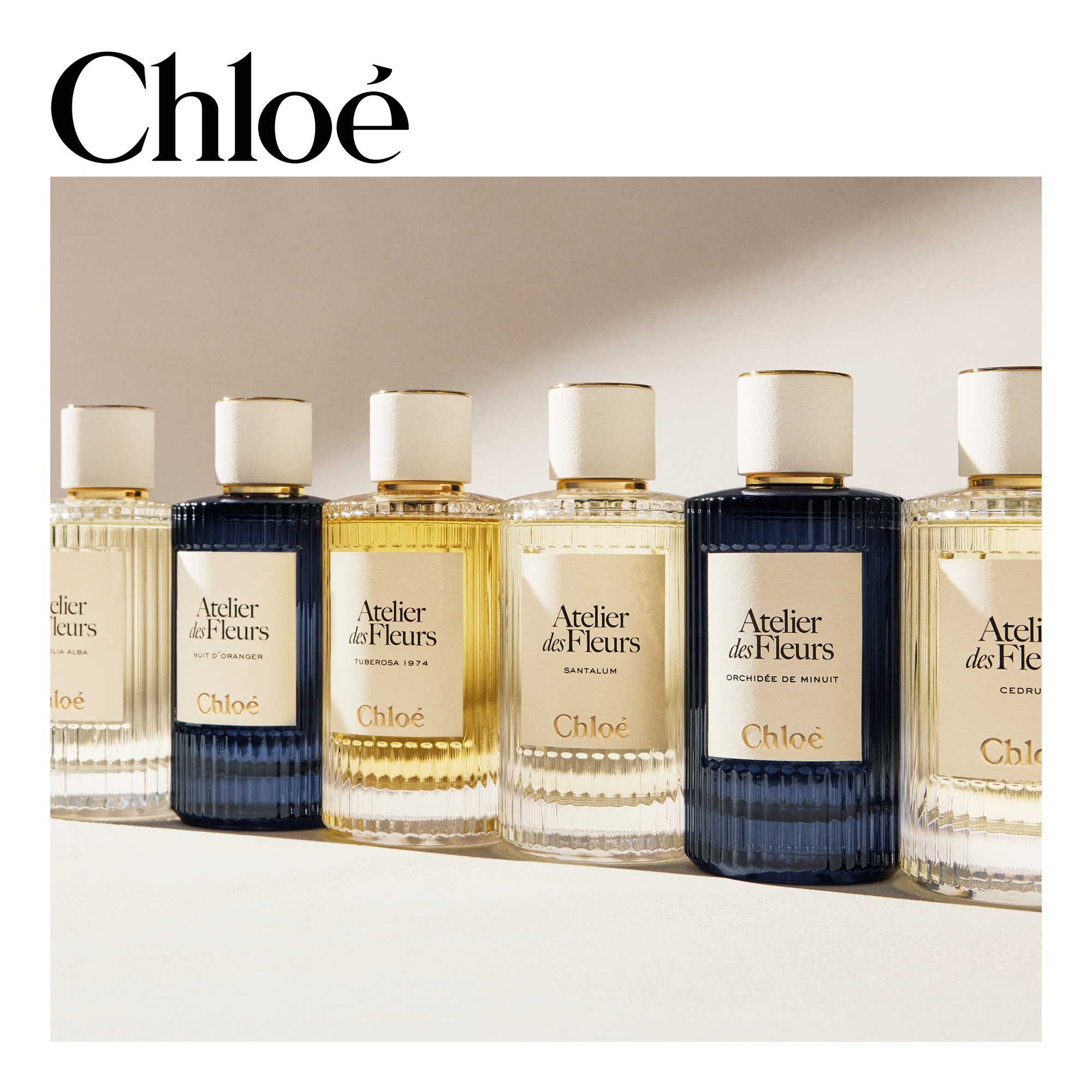 Chloé Atelier des Fleurs Santalum Eau de Parfum 50ml | Cult Beauty