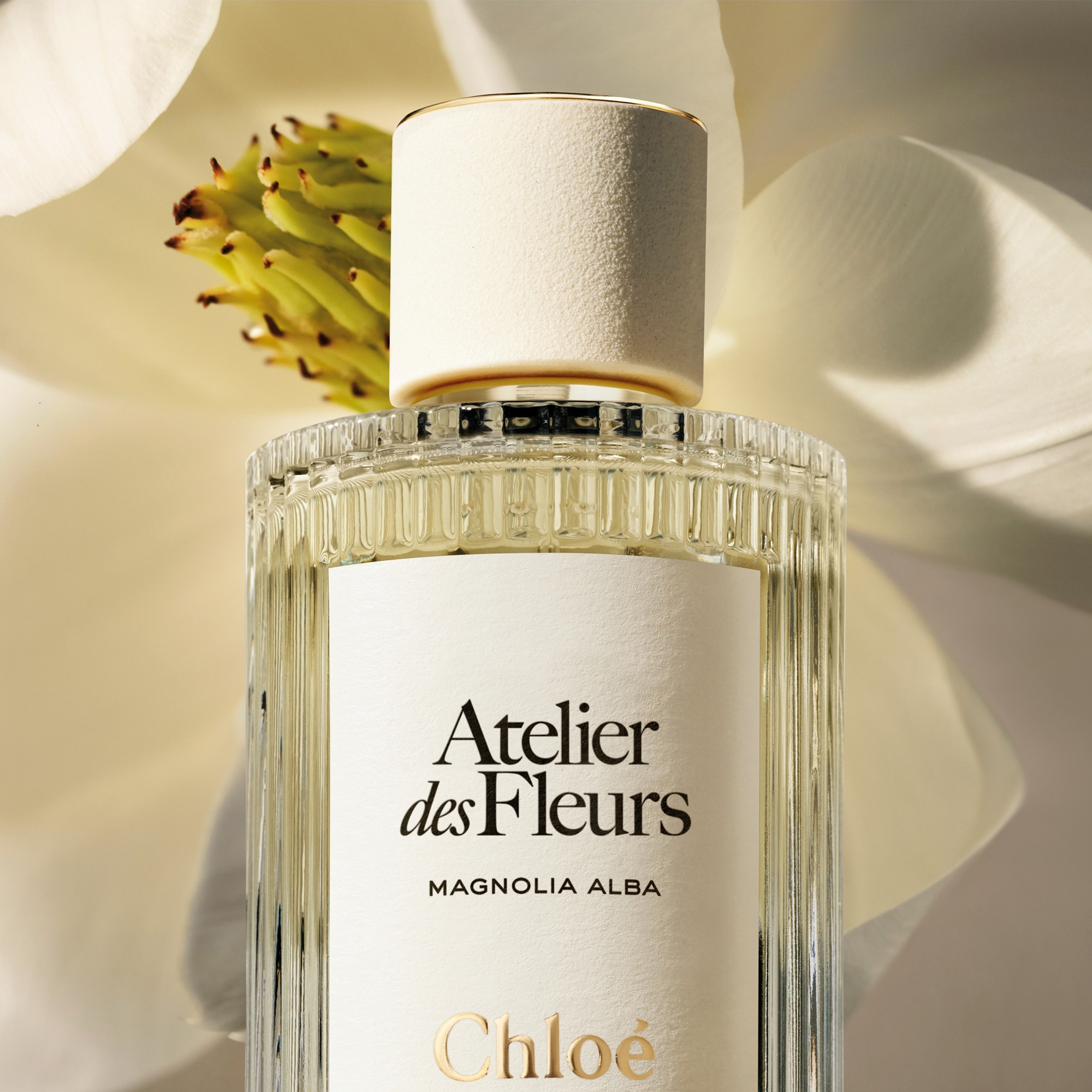 Chloé Atelier des Fleurs Magnolia Alba Chloé Atelier des Fleurs Magnolia Alba Eau de Parfum 150ml | Cult