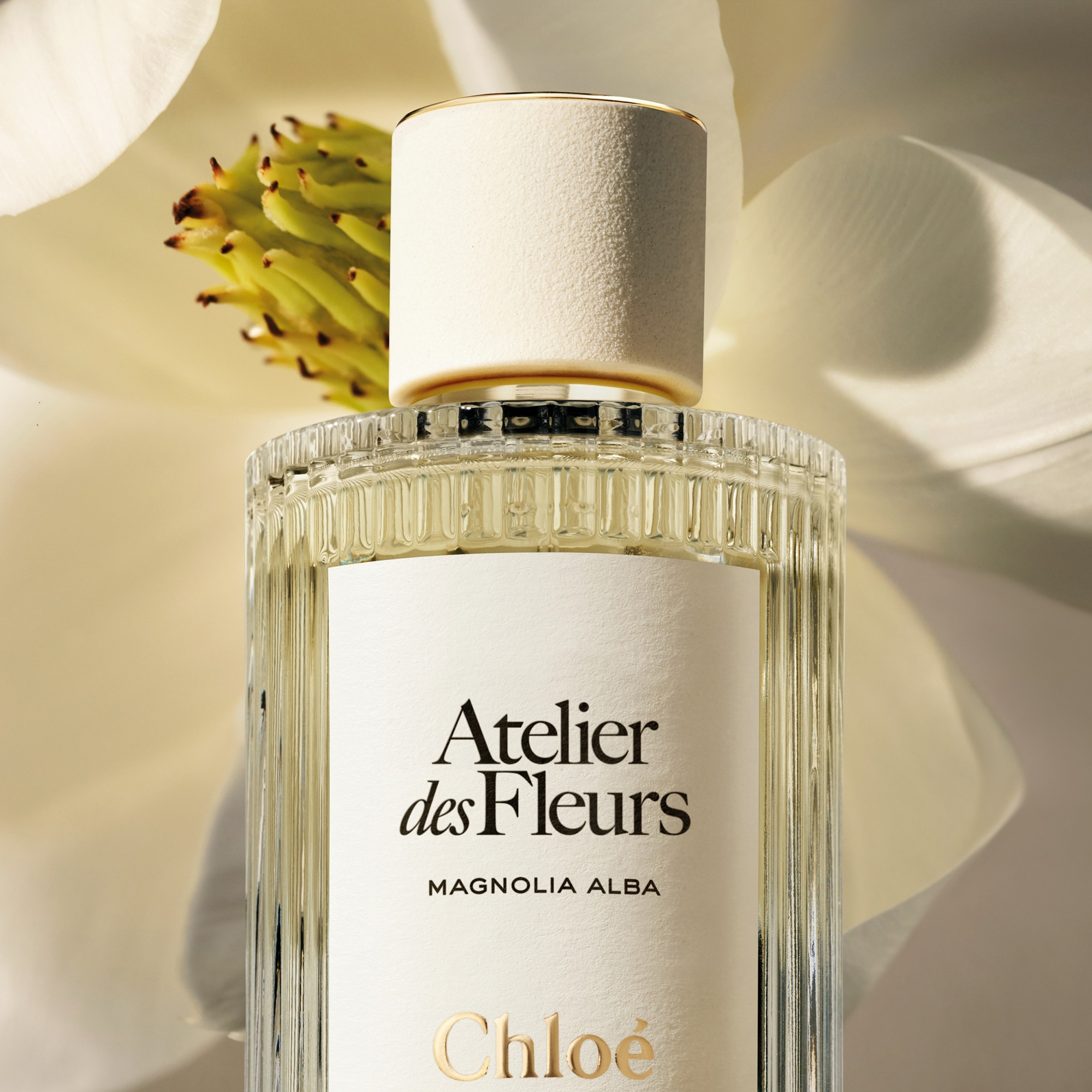 Chloé Atelier des Fleurs Magnolia Alba Chloé Atelier des Fleurs Magnolia Alba Eau de Parfum 150ml | Cult