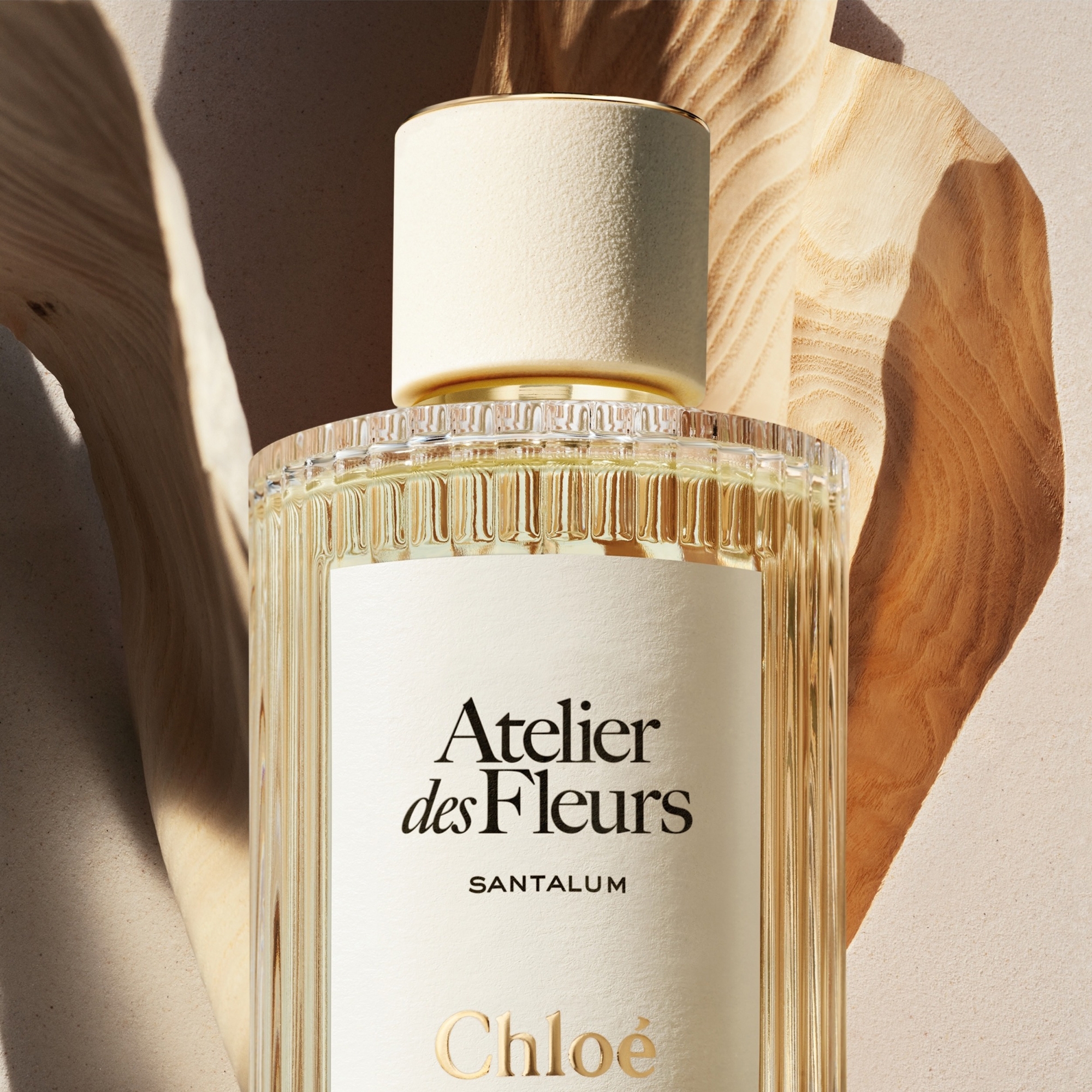 Chloé Atelier des Fleurs Santalum Eau de Parfum 50ml | Cult Beauty
