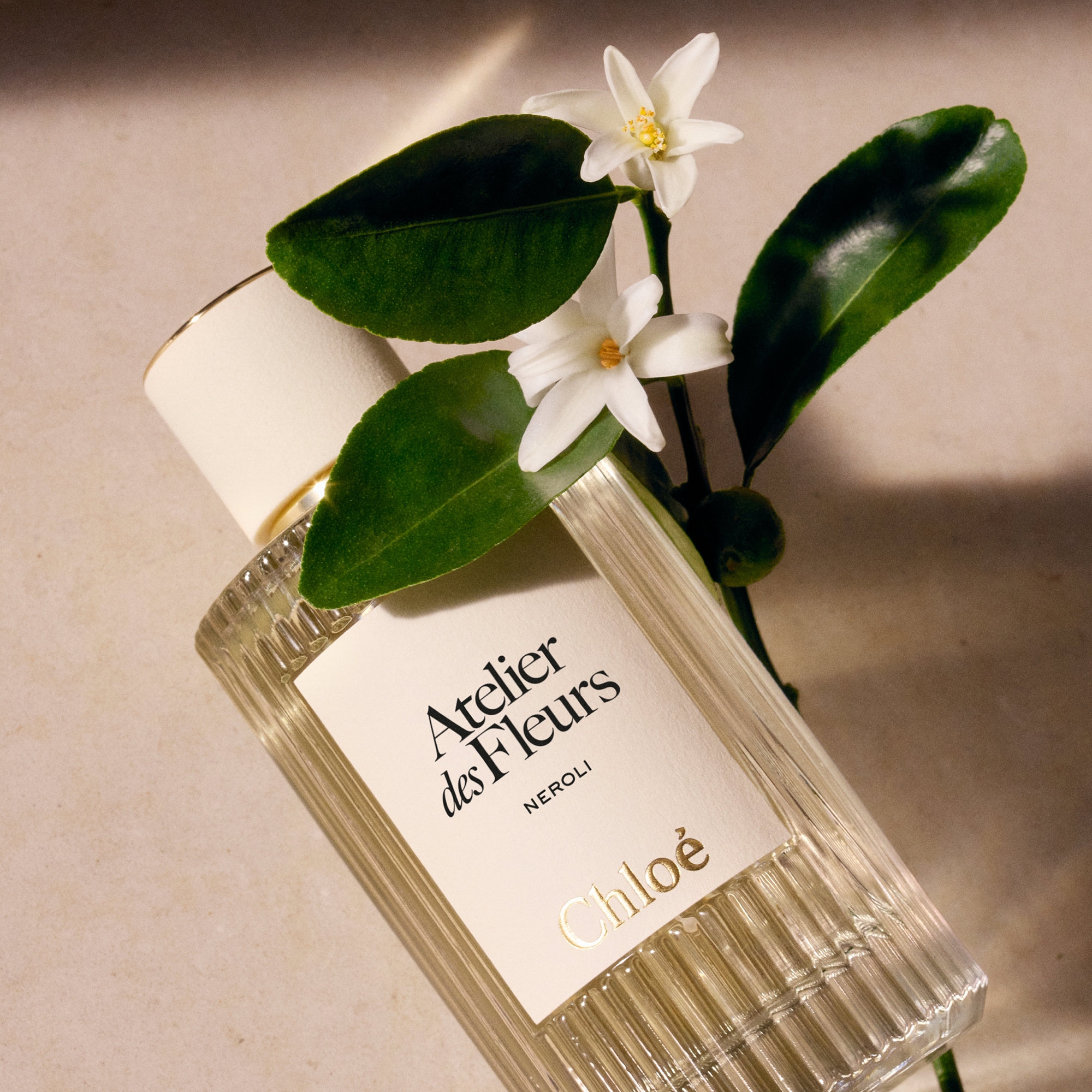 Chloé Atelier des Fleurs Neroli Eau de Parfum 150ml | Cult Beauty