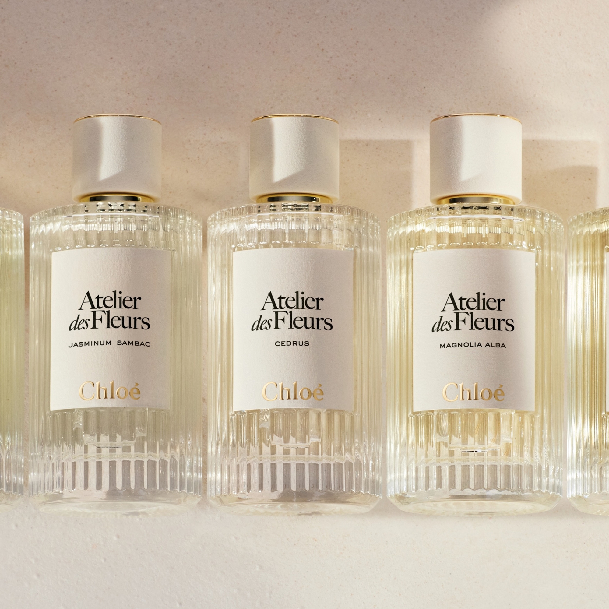 Chloé Atelier des Fleurs Herba Mimosa Eau de Parfum 150ml | Cult