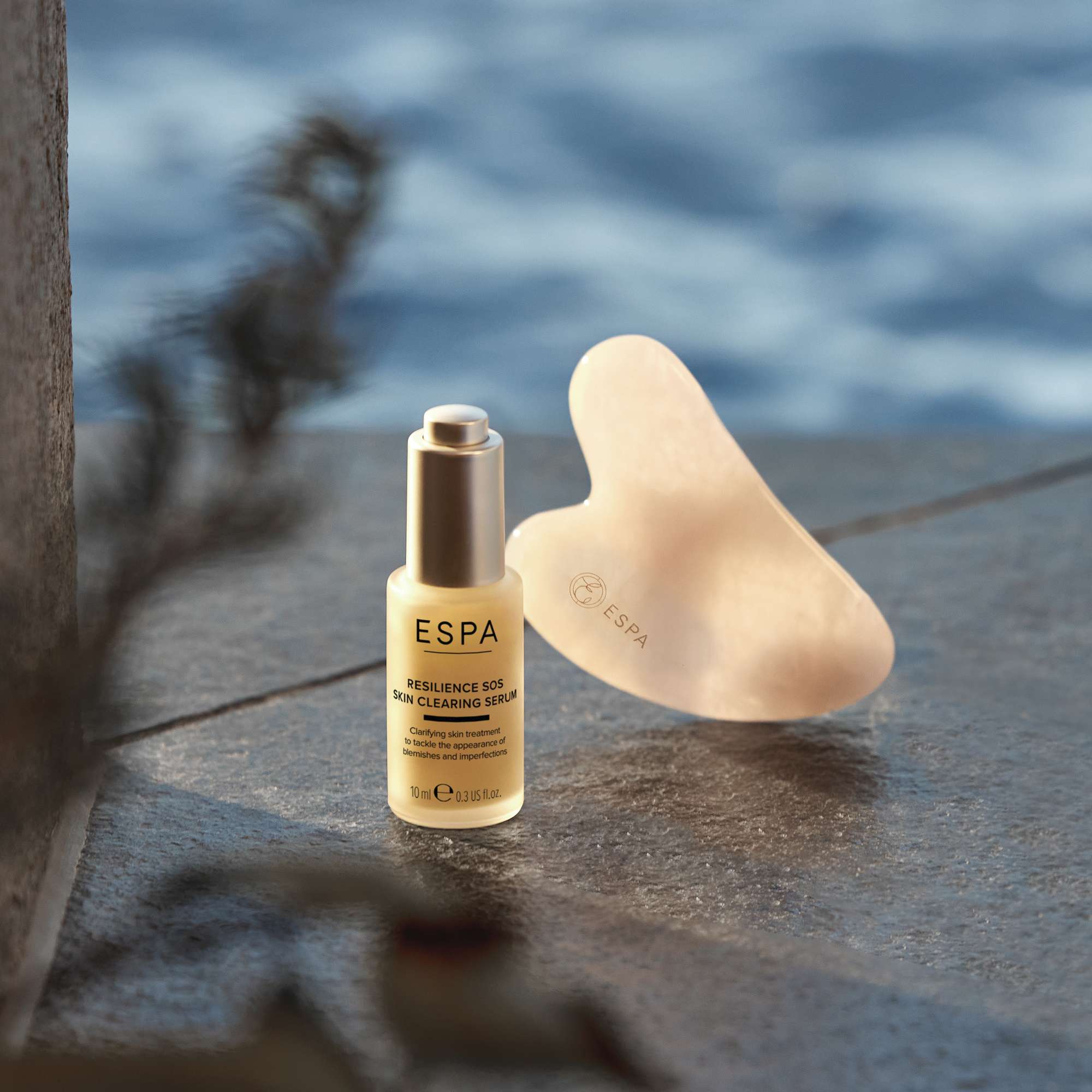 Free Gifts ESPA Gua Sha Duo (Worth £61.00)