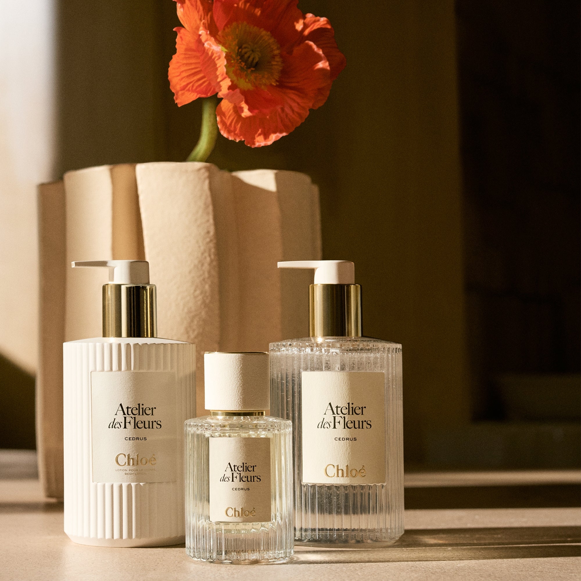 Chloé Atelier des Fleurs Cedrus Perfumed Body Lotion 300ml | Cult