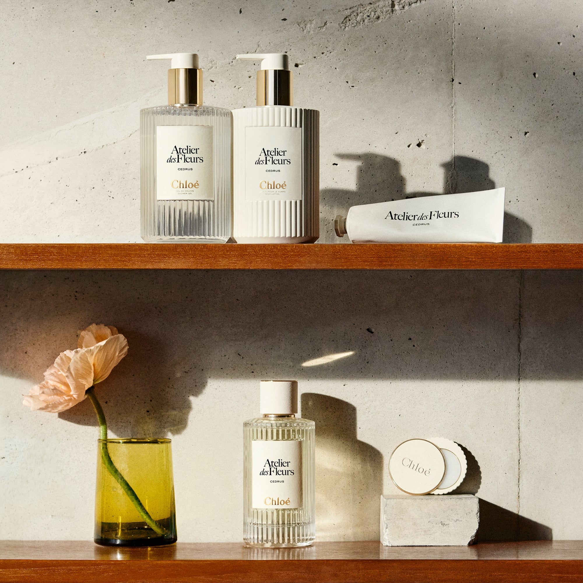 Chloé Atelier des Fleurs Cedrus Perfumed Body Lotion 300ml | Cult