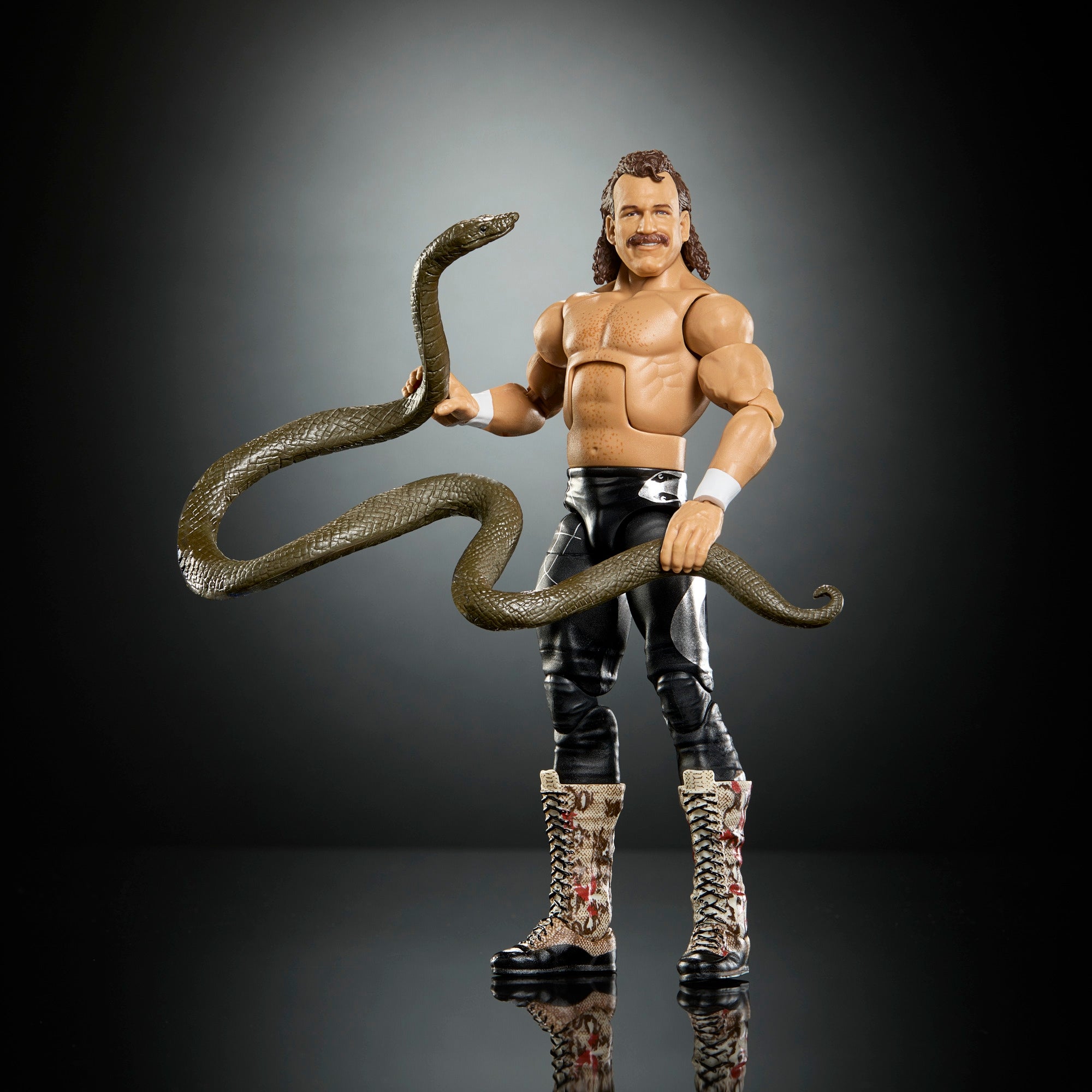 WWE 6