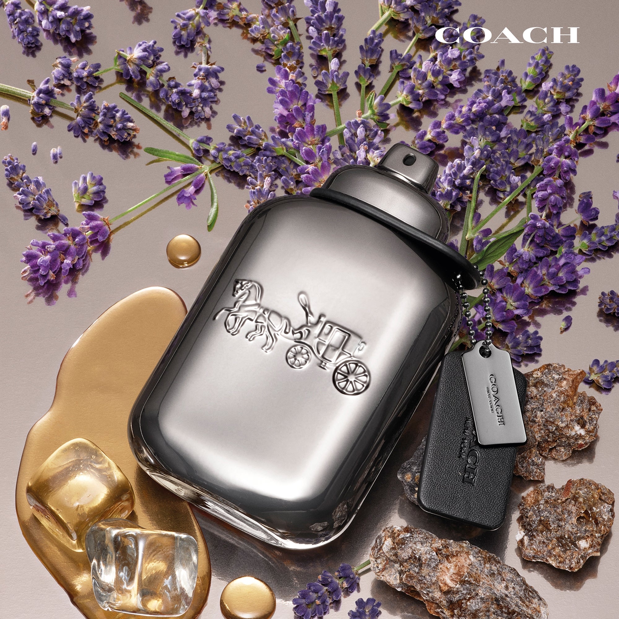 Coach Men Pure Platinum Parfum 100ml | LOOKFANTASTIC