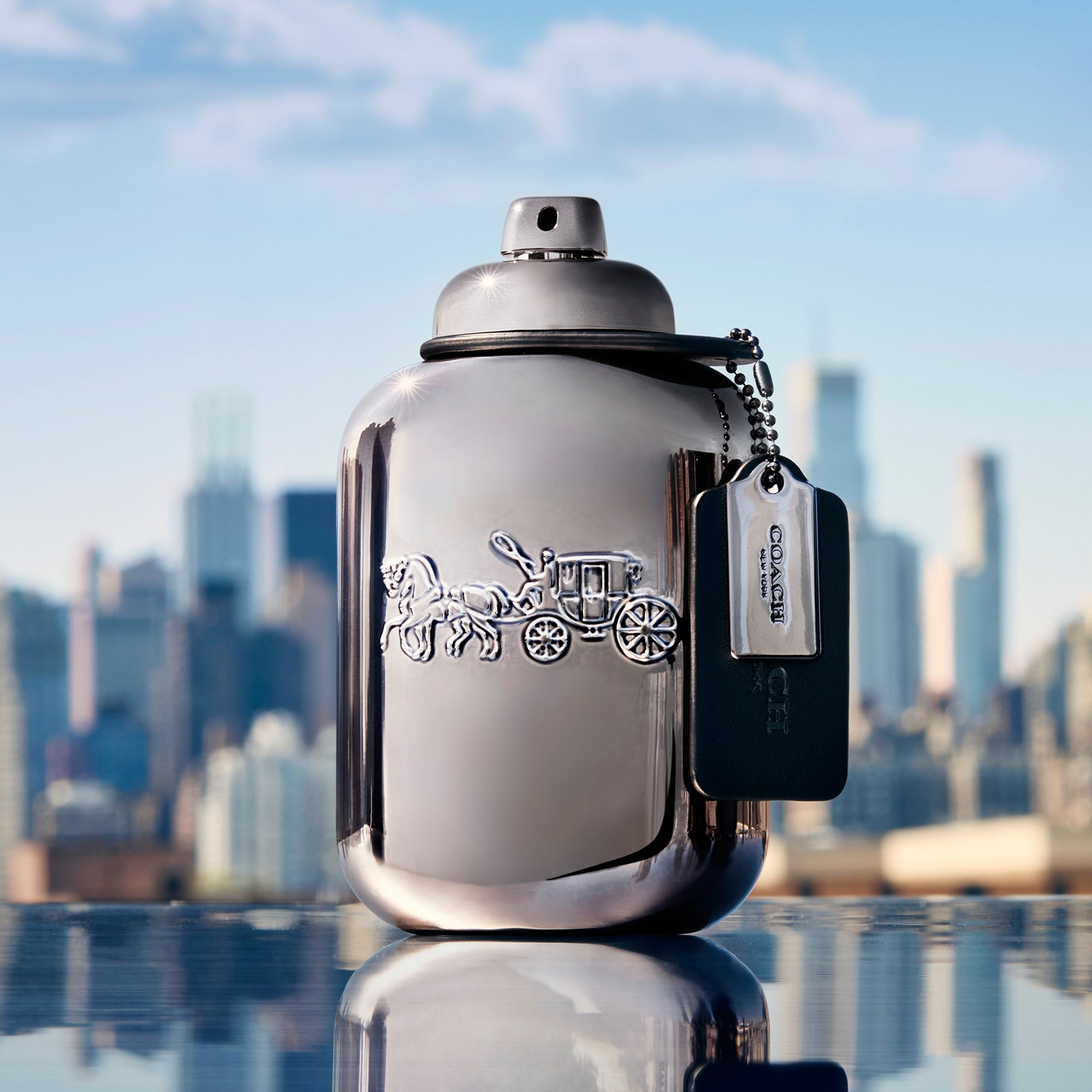 Coach Men Pure Platinum Parfum 100ml | LOOKFANTASTIC