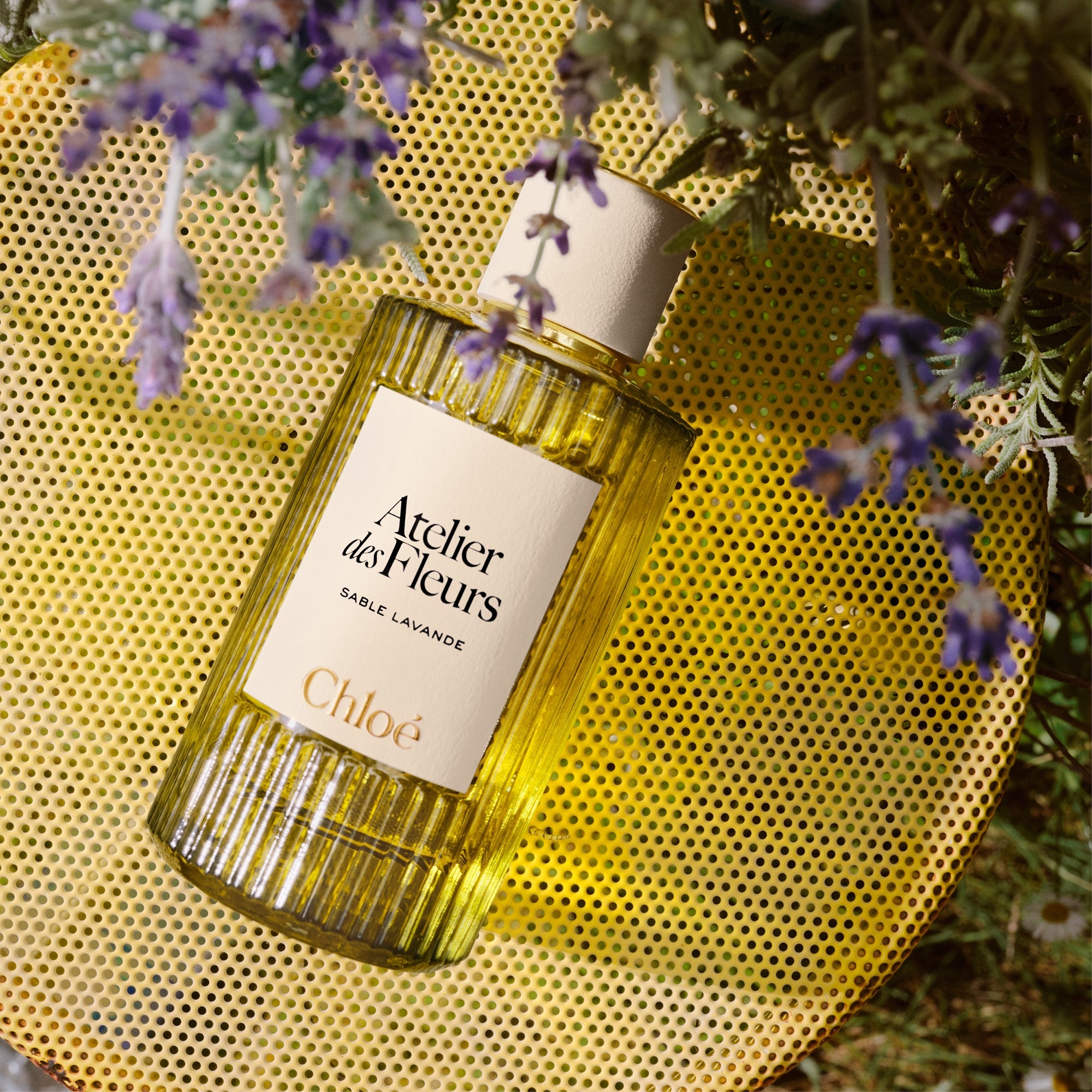 Chloé Atelier des Fleurs SABLE LAVANDE 17662902-1635302046640870.jpg