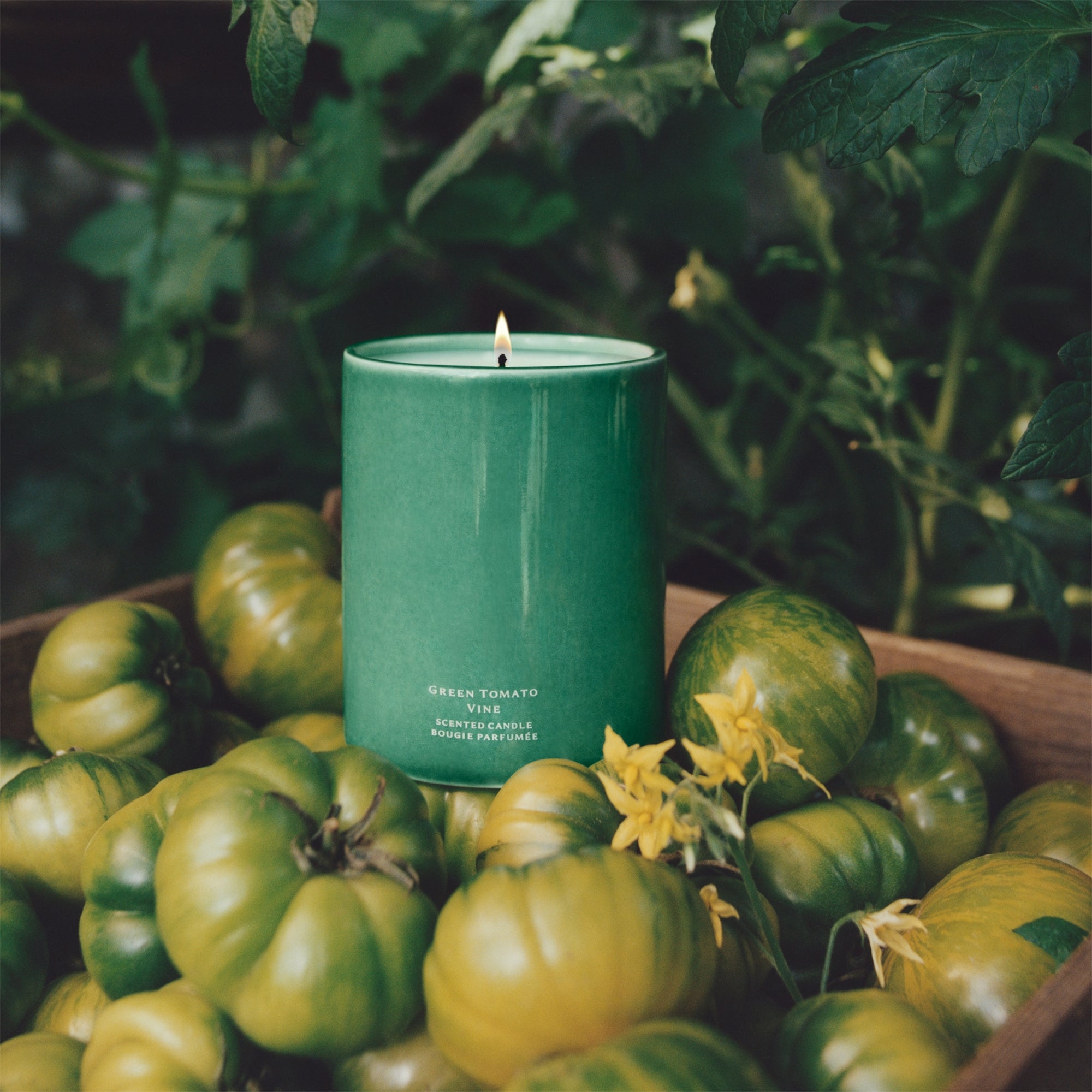 Jo Malone London Green Tomato Vine Candle 300g – Veggies Edition