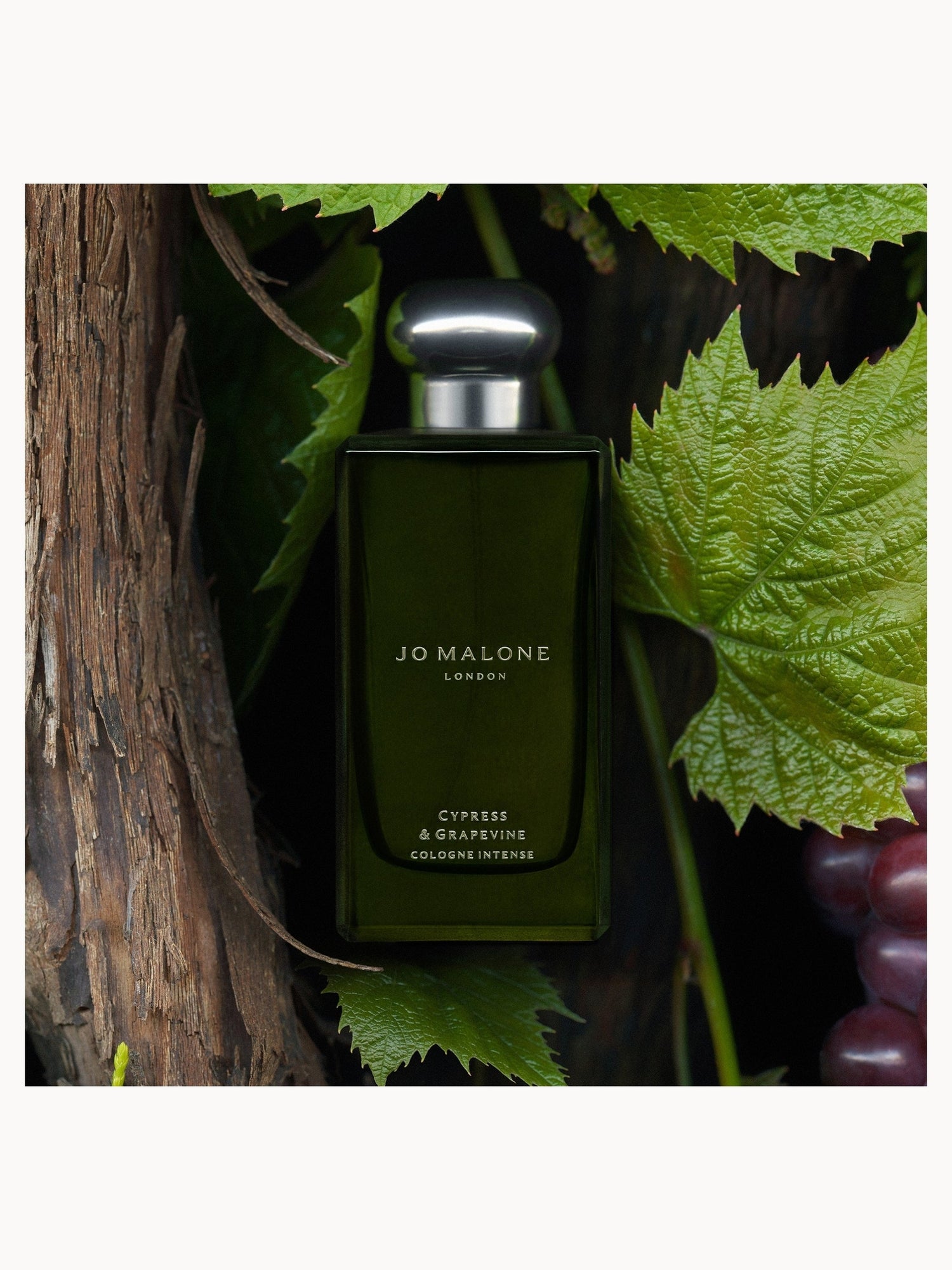 Jo Malone London Cypress & Grapevine Cologne Intense 50ml