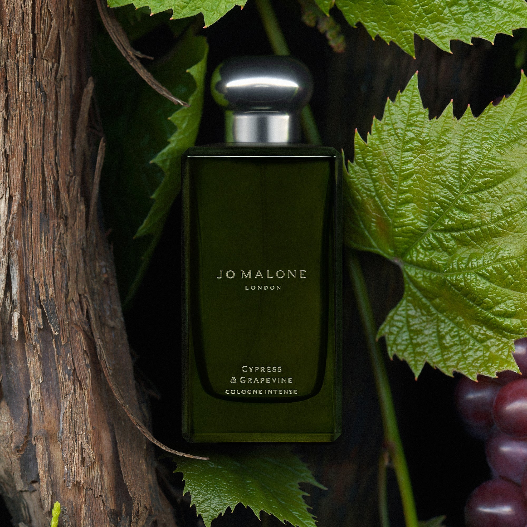 Jo Malone London Cypress & Grapevine Cologne Intense 30ml | Cult