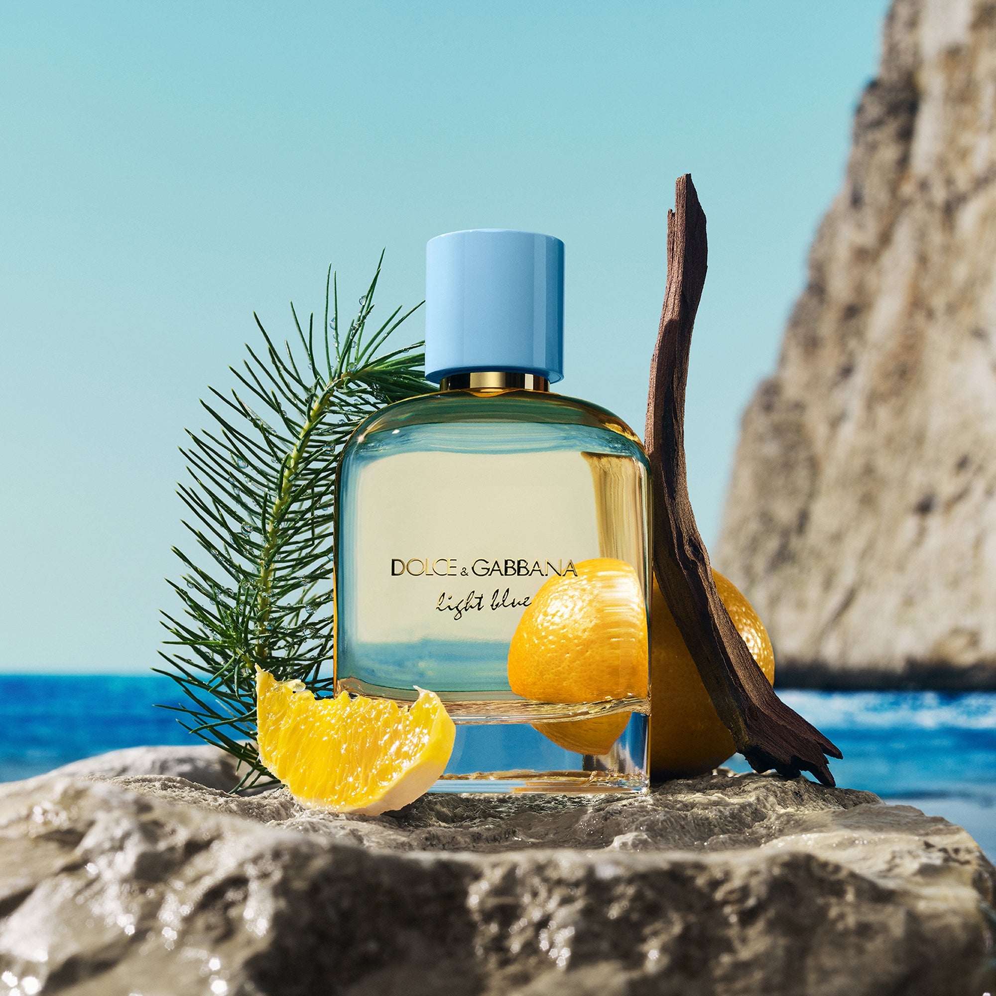 Dolce&Gabbana Light Blue Pour Homme Eau de Parfum 100ml