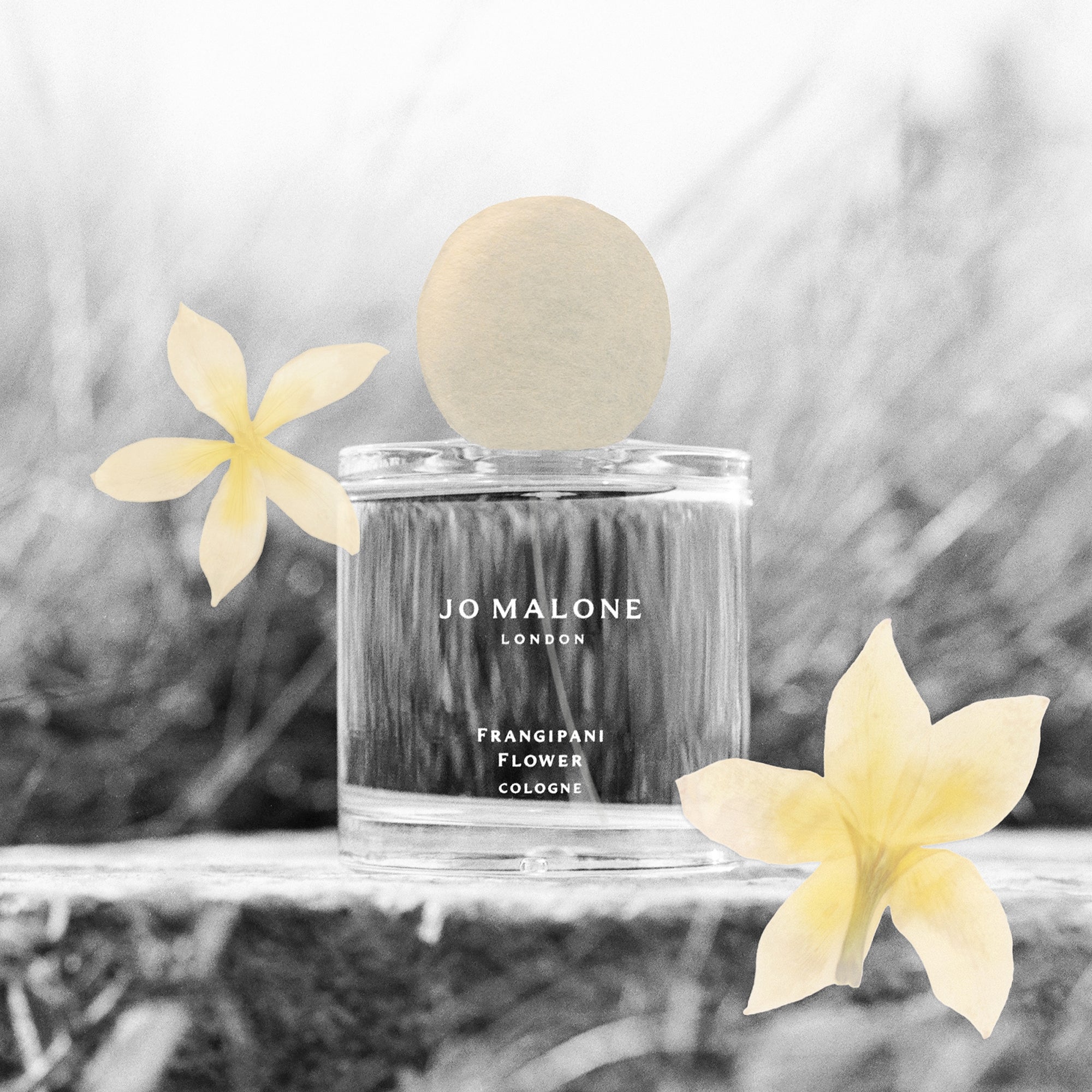 Jo Malone London Frangipani Flower Cologne 100ml | Cult Beauty