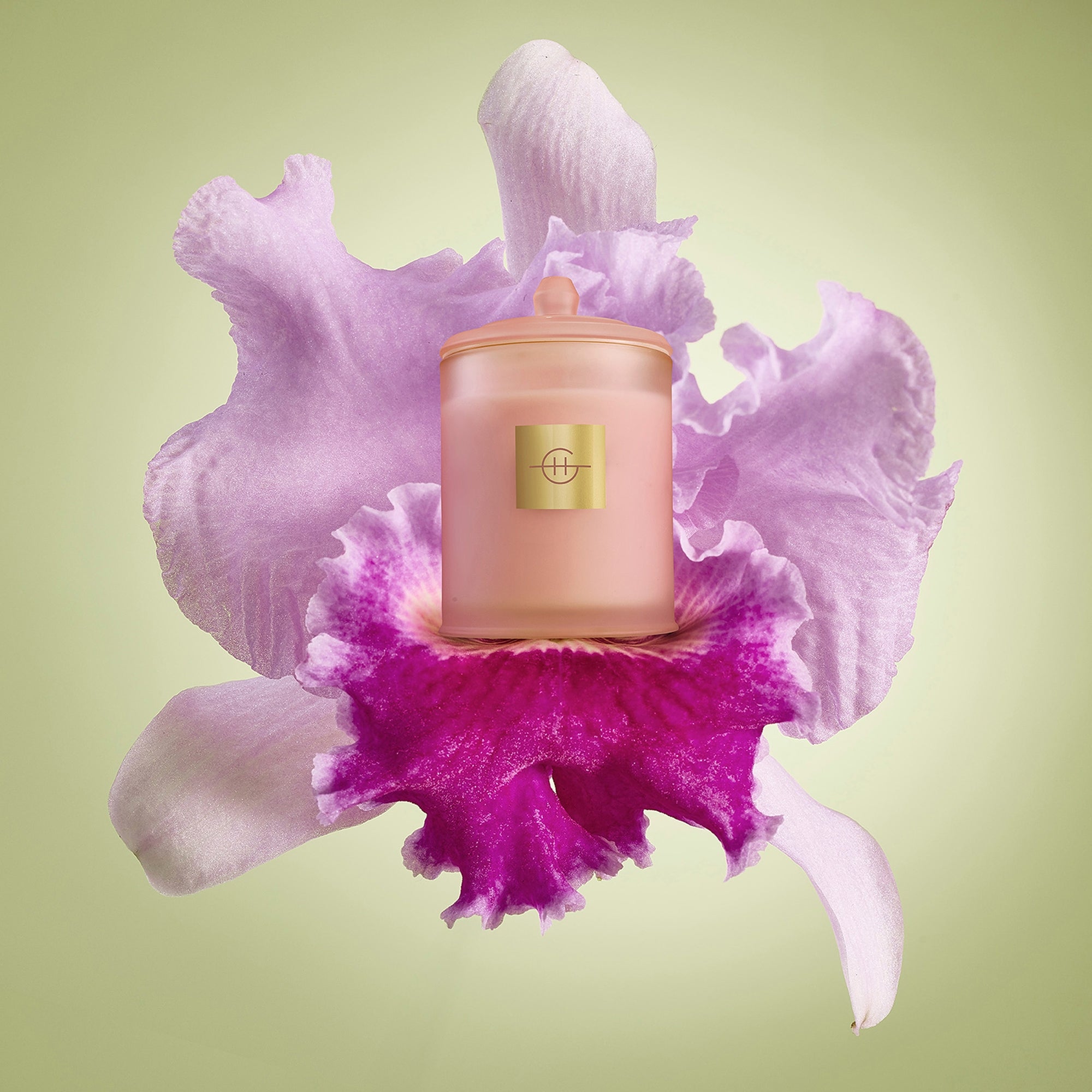 Glasshouse Fragrances Flower Show Triple Scented Candle 13.4 oz