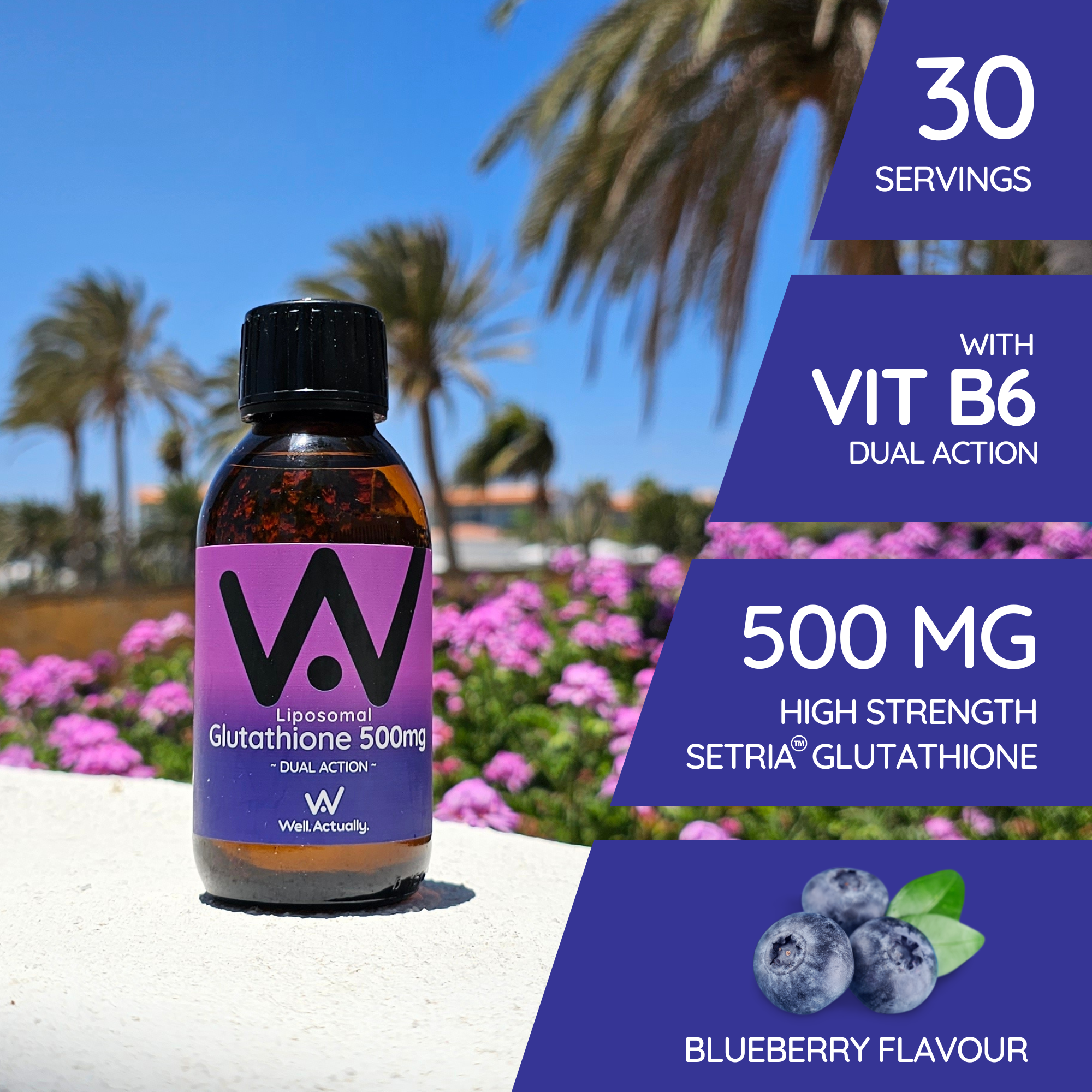 well actually liposomal glutathione Well.Actually. Liposomal Glutathione Dual Action - 500mg - Blueberry  (150ml)