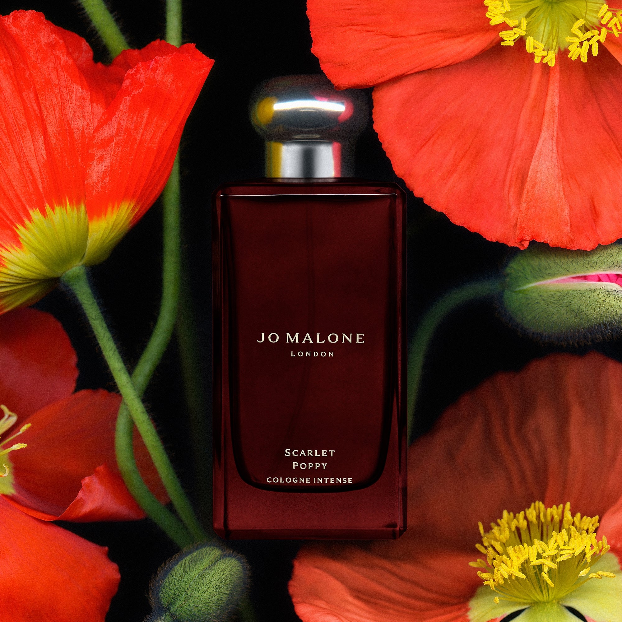 Jo Malone London Scarlet Poppy Cologne Intense 50ml | Cult Beauty