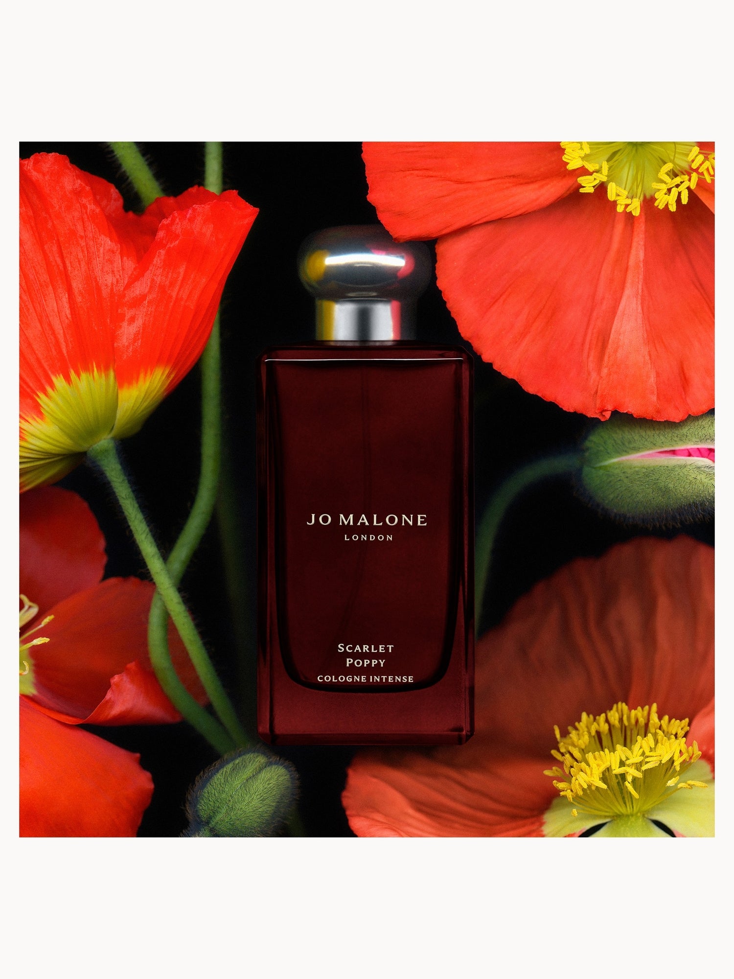 Jo Malone London Scarlet Poppy Cologne Intense 100ml | LOOKFANTASTIC