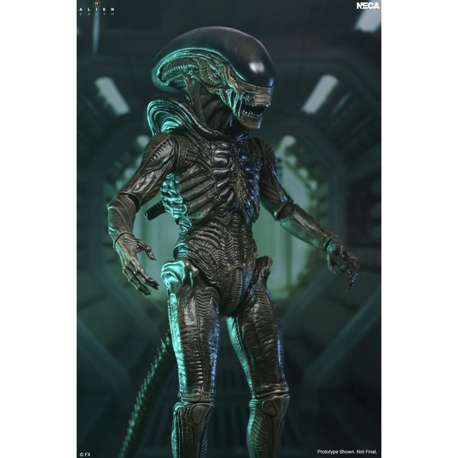 ALIEN: EARTH XENOMORPH ULTIMATE 7 INCH SCALE ACTION FIGURE | Zavvi UK