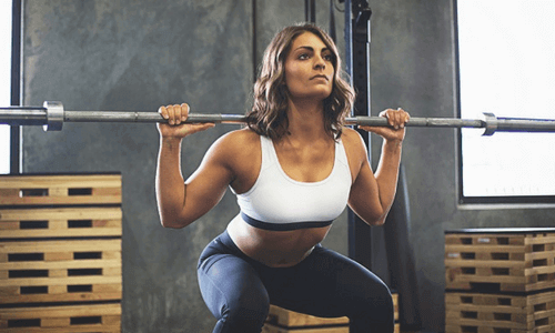 Programme musculation