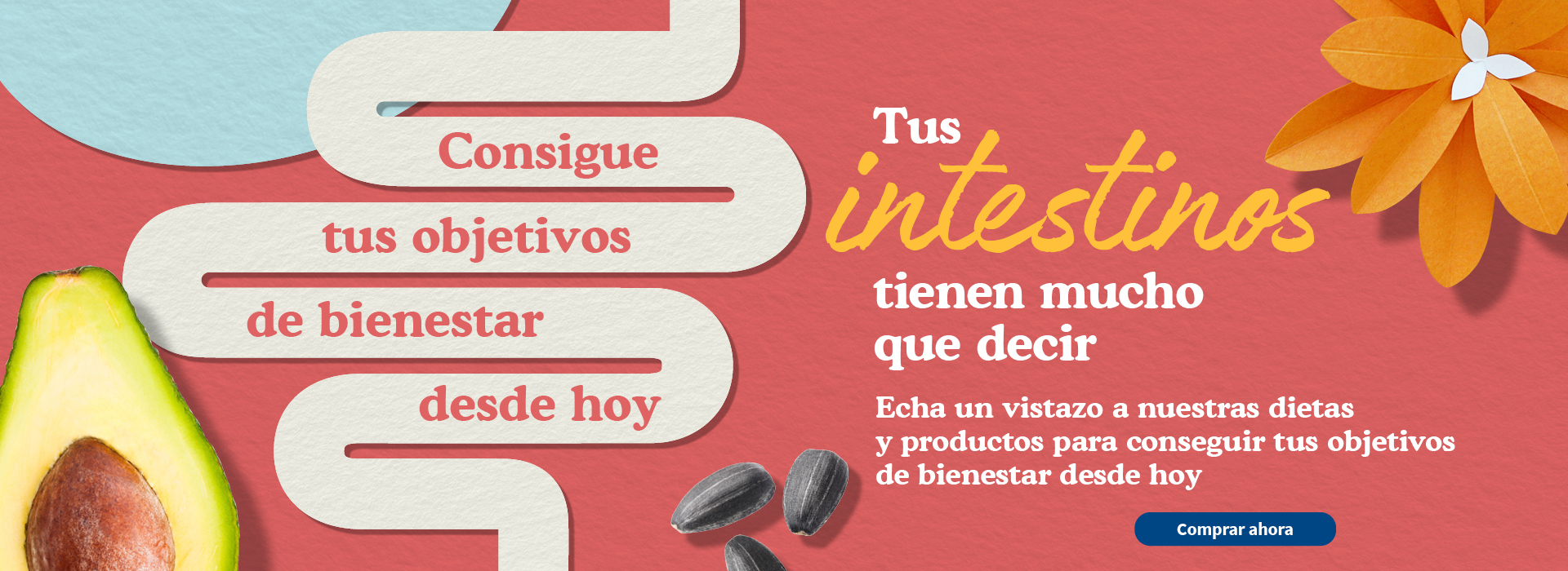 Gut health