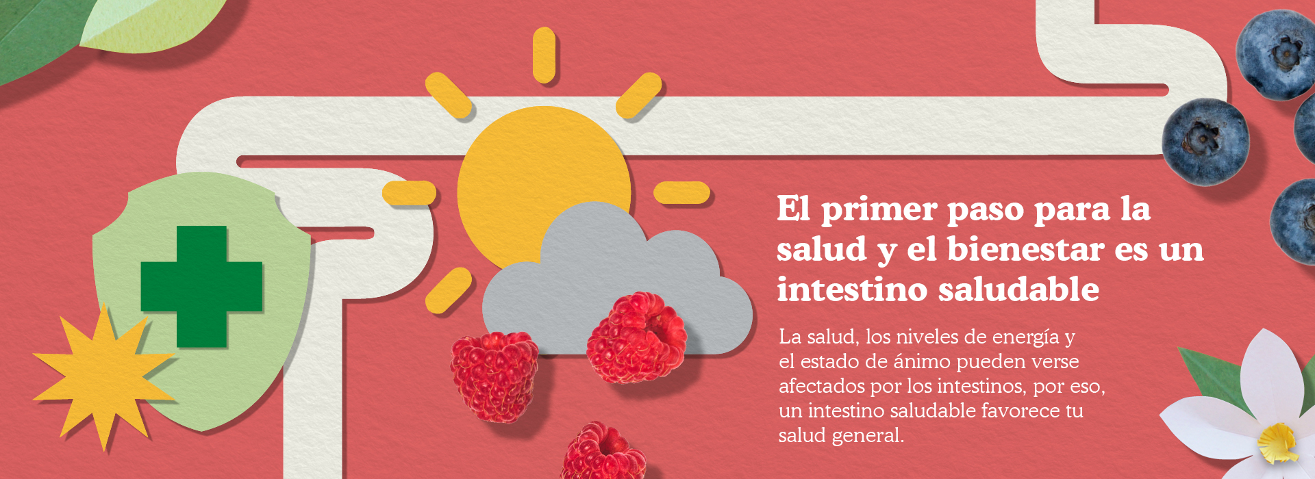 Gut health