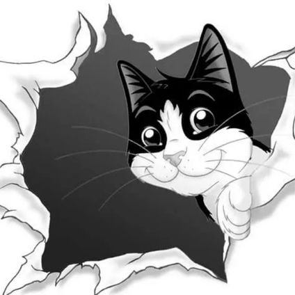 <center>Other Meals & Treats</center>